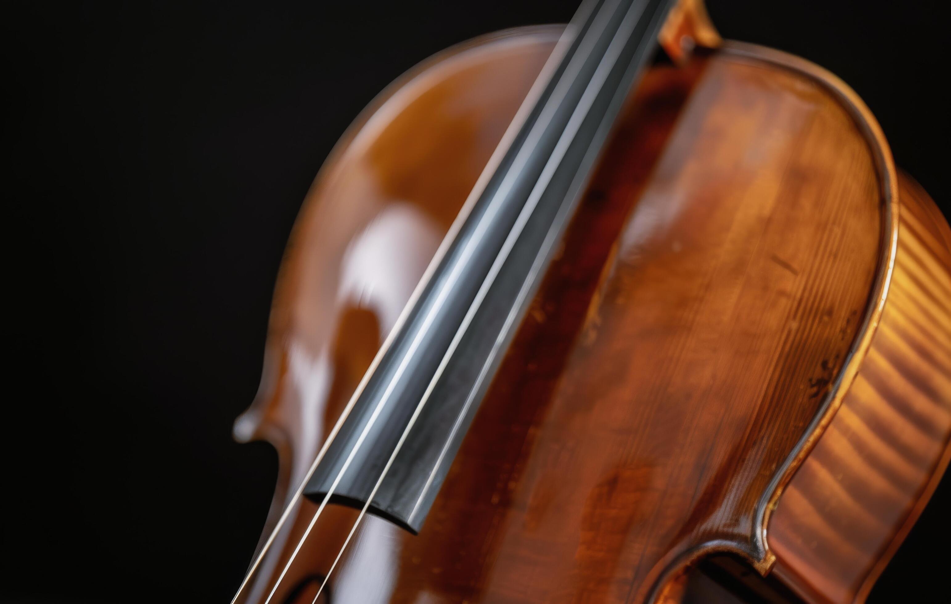 Close-Up of a Vibrant Violin Against a Dark Background Stock Free