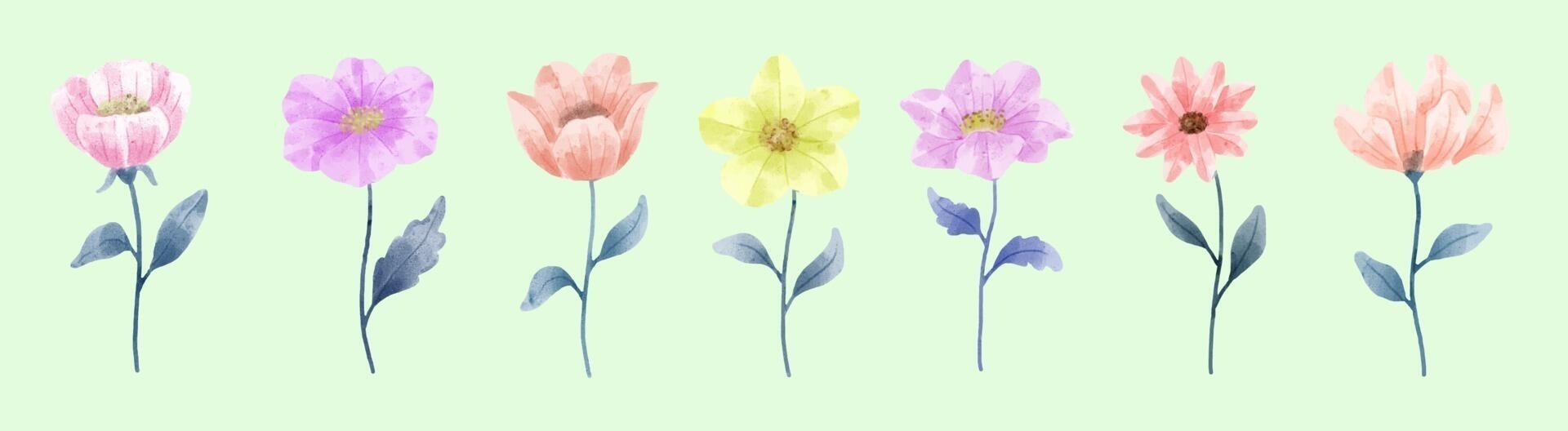 A set of flowers painted in watercolor for designer work create Stock Free