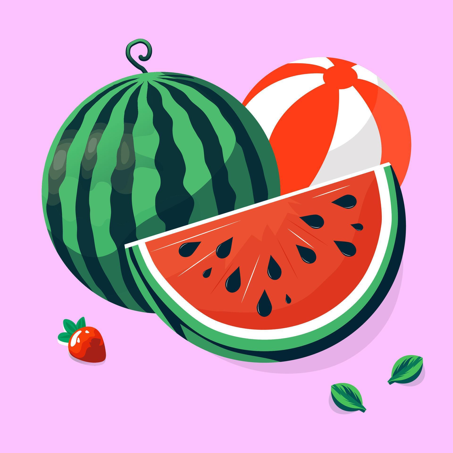 Slice And Whole Watermelon, green leaves Flower illustration in flat design. Summer food concept illustration isolated on white background Stock Free