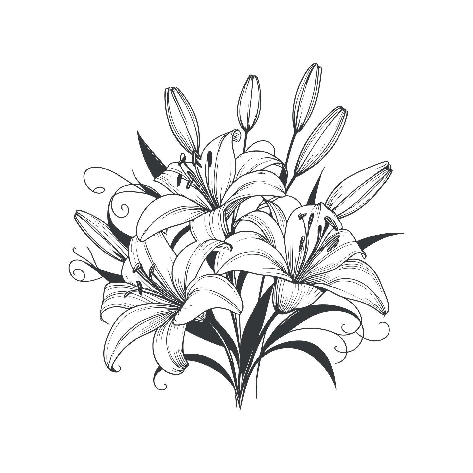 illustration of lily flowers on white background Stock Free