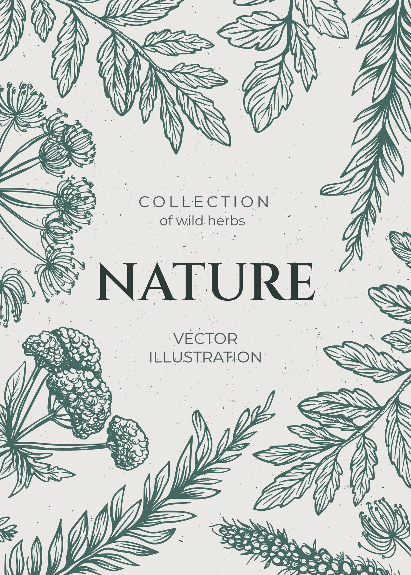 Background various wild herbs with a grunge background, space for text. Hand drawn in pencil style, featuring wild weeds. Vintage vibe banner. Free Vector