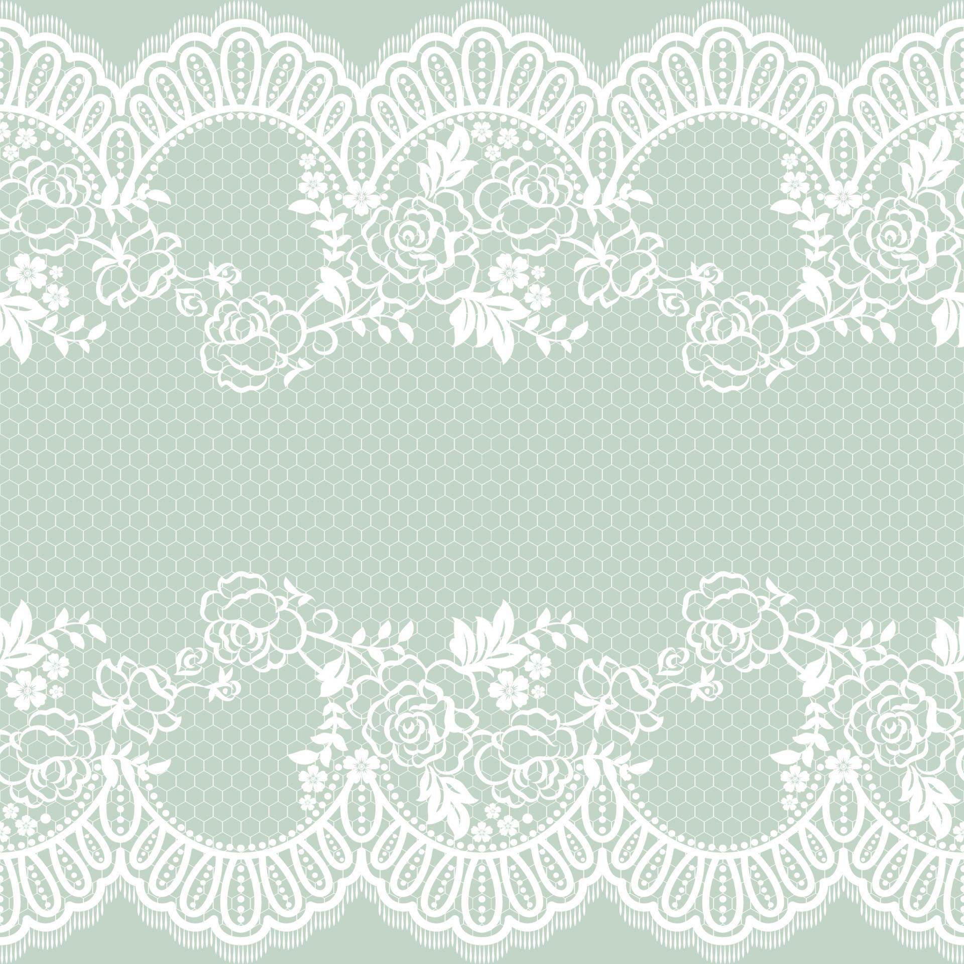 Abstract seamless lace pattern with flowers Stock Free