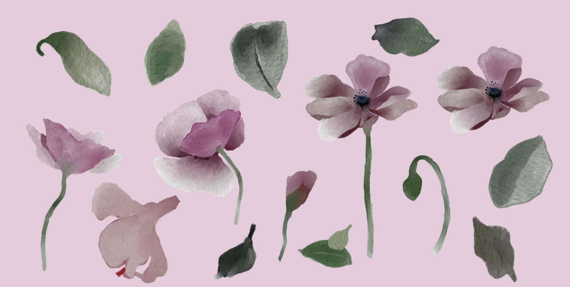 watercolor flower frames elements pack Stock Free