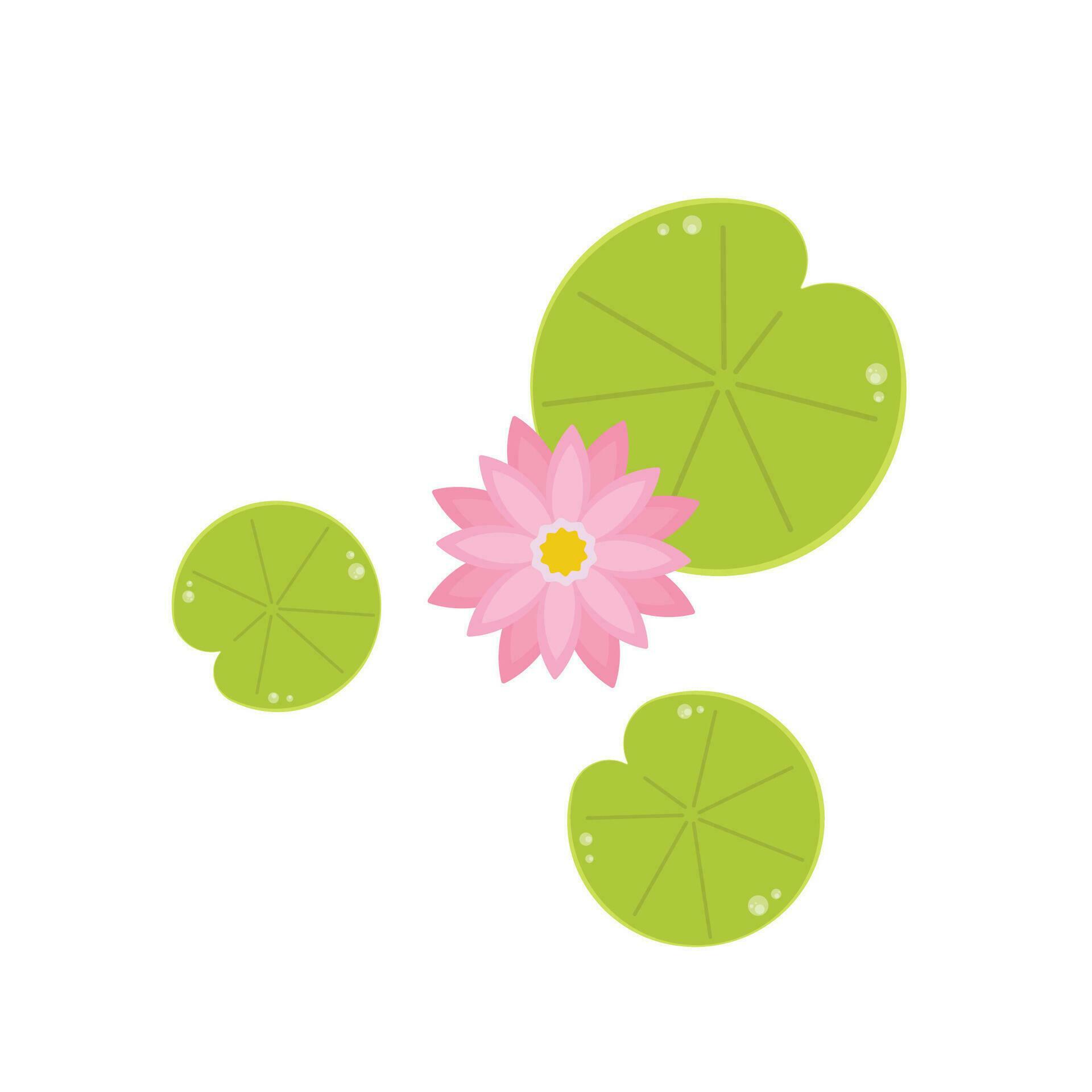 Lily pad pattern. wallpaper. free space for text. Lotus flower. Stock Free