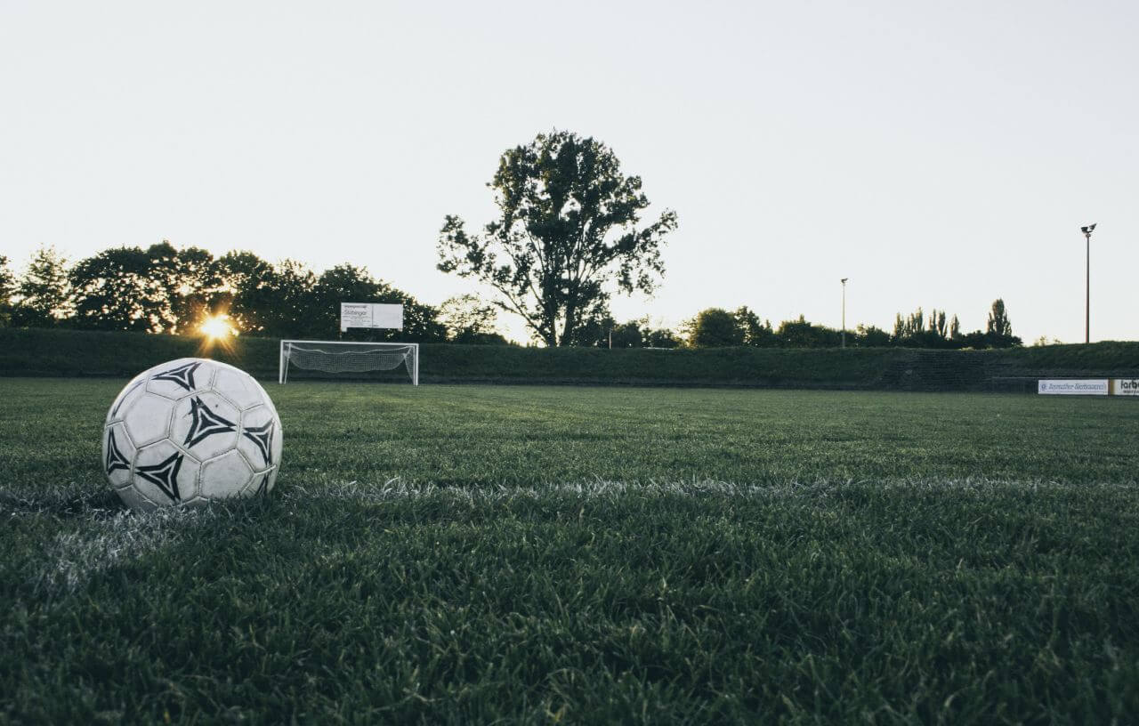 Black and White Soccer Ball on Grass Stock Free