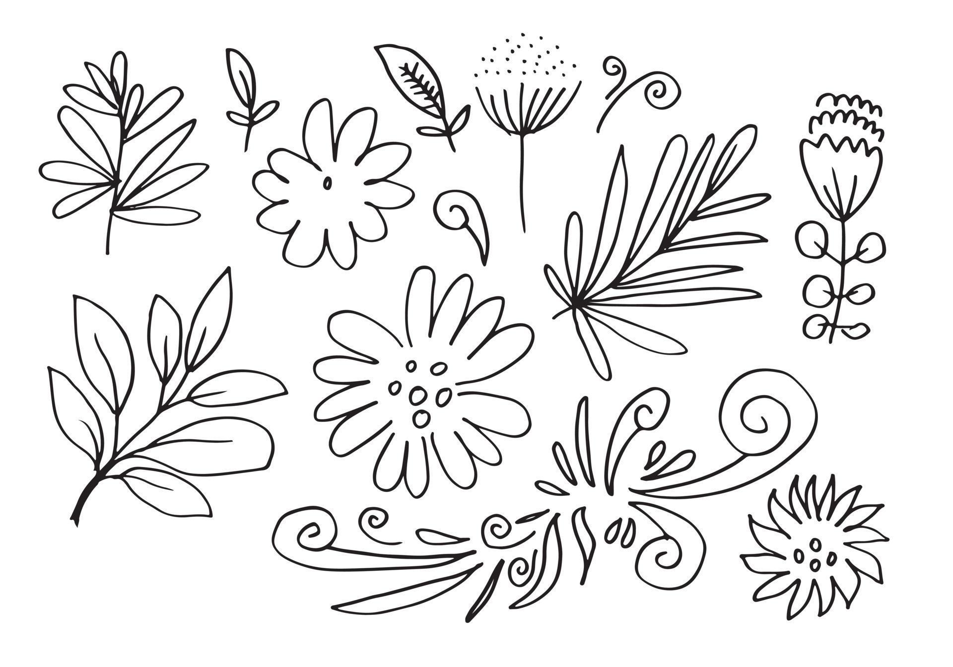 a collection of hand-drawn flower images such as bellflower, chrysanthemums, sunflowers, cotton flowers, and tropical leaves Stock Free