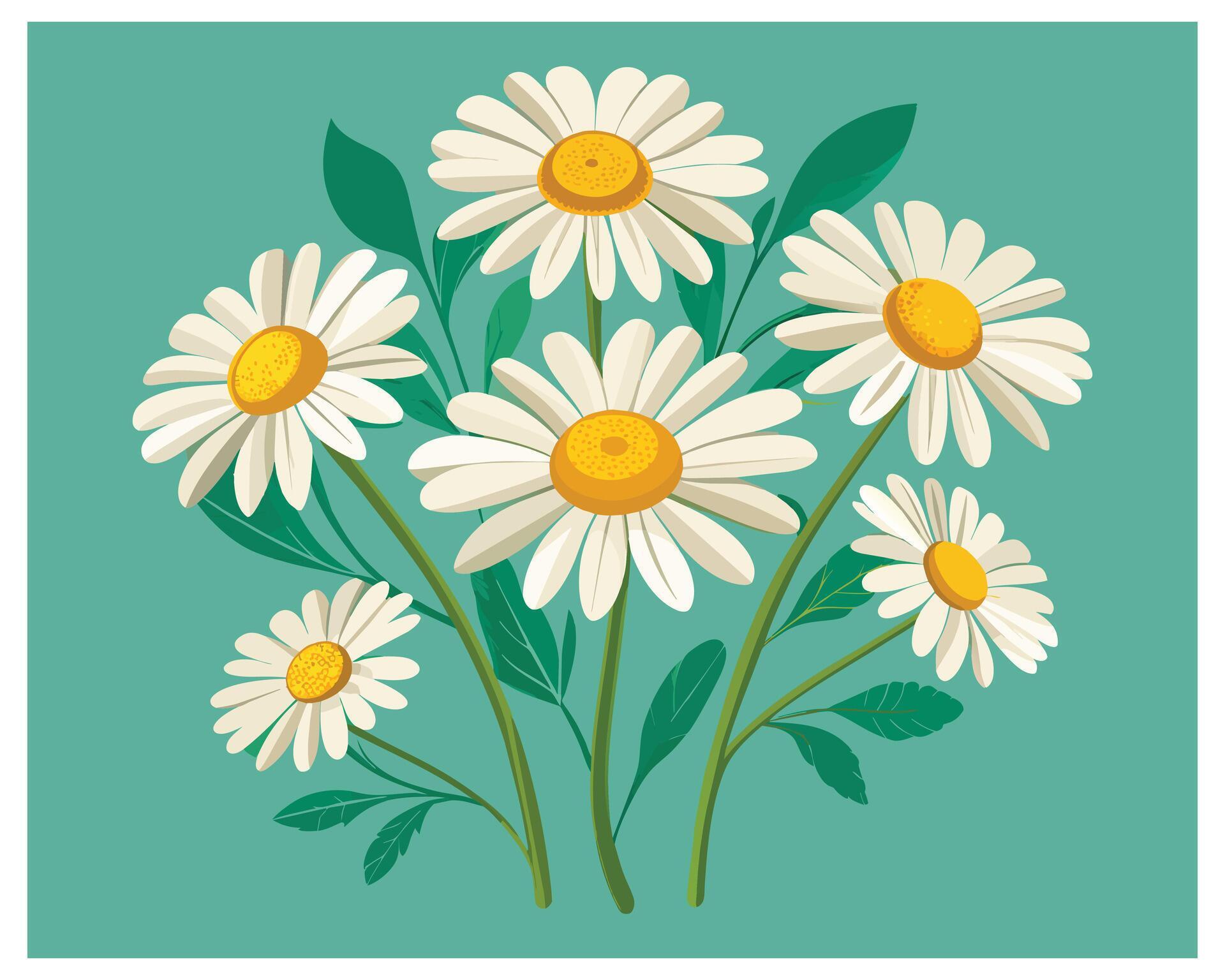 Cartoon Daisy Flower Vector Design On White Background illustration Stock Free