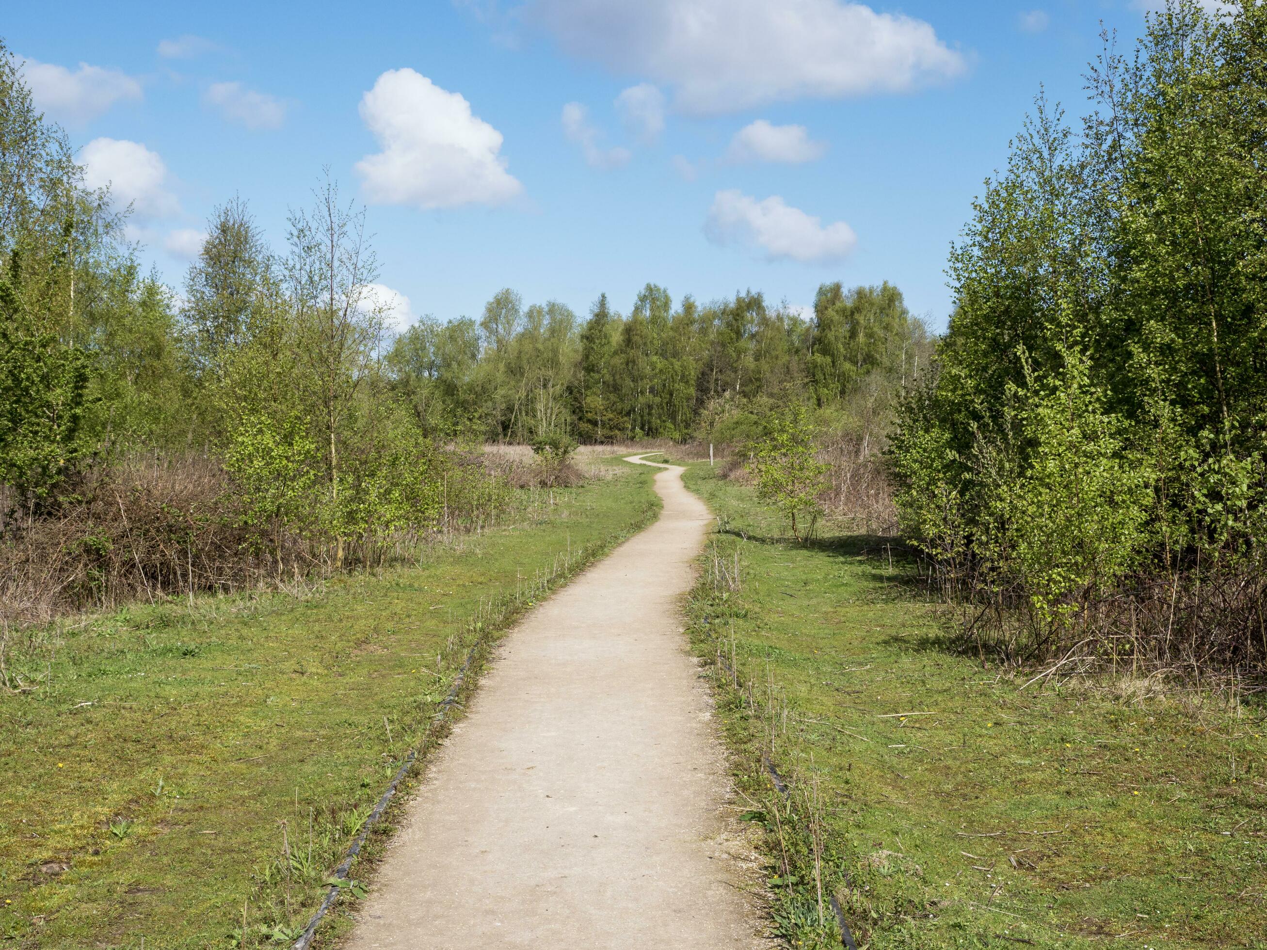 Path through a Nature Reserve Stock Free