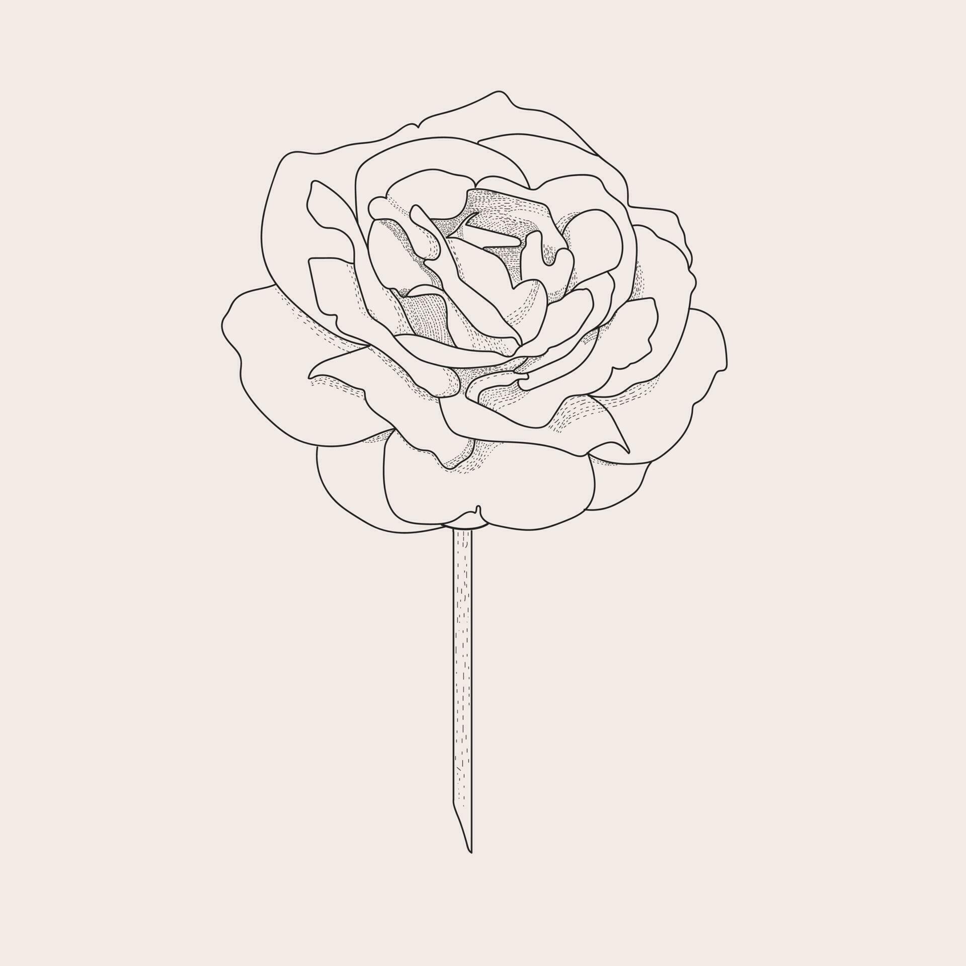 flower line art for Greeting cards, packages, t-shirts, labels Stock Free