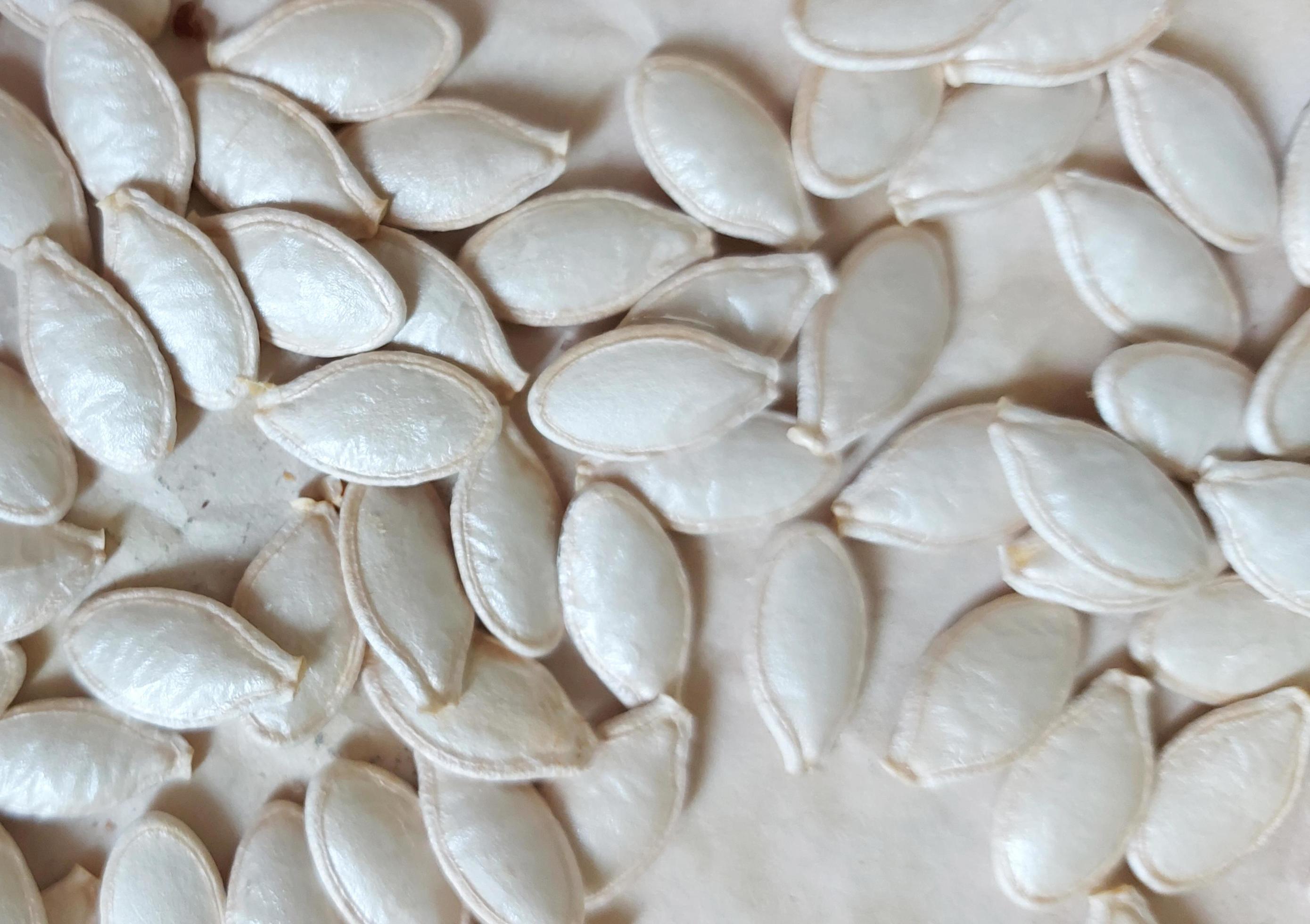 pumpkin seeds are on the table. natural pattern. monochrome background. food. Stock Free