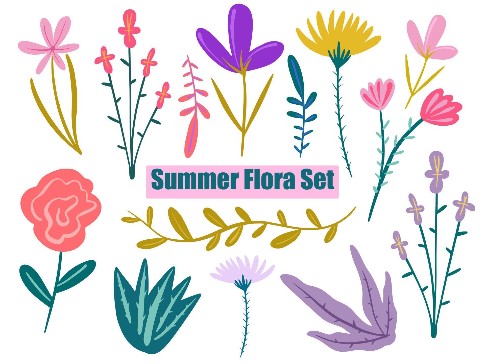 Hand painted summer Wild flowers set. Sketch flora and herbs nature botanical elements. Stock Free