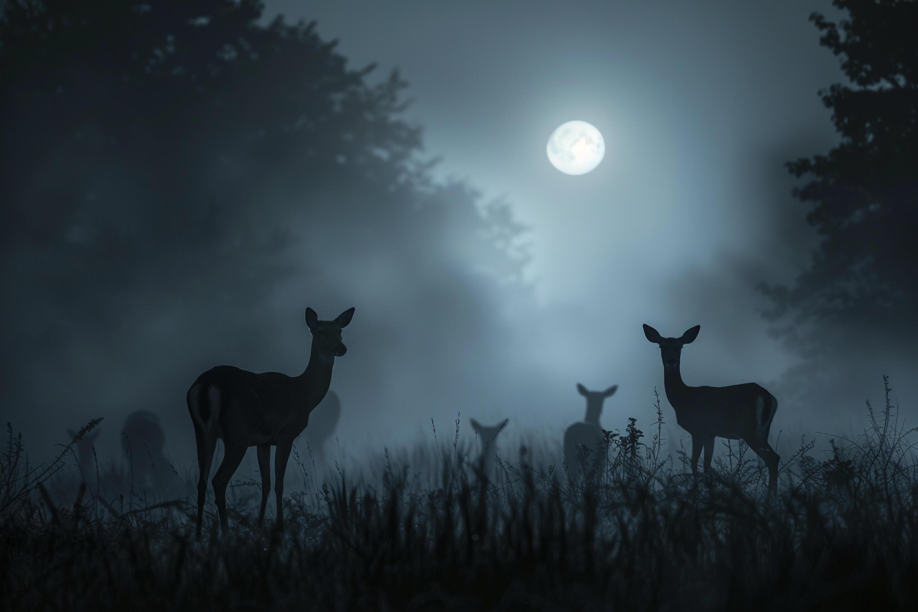 Moonlight Filtering Through Mist Casting Silver Glow on Family of Deer Grazing in Meadow Background in Nature Stock Free