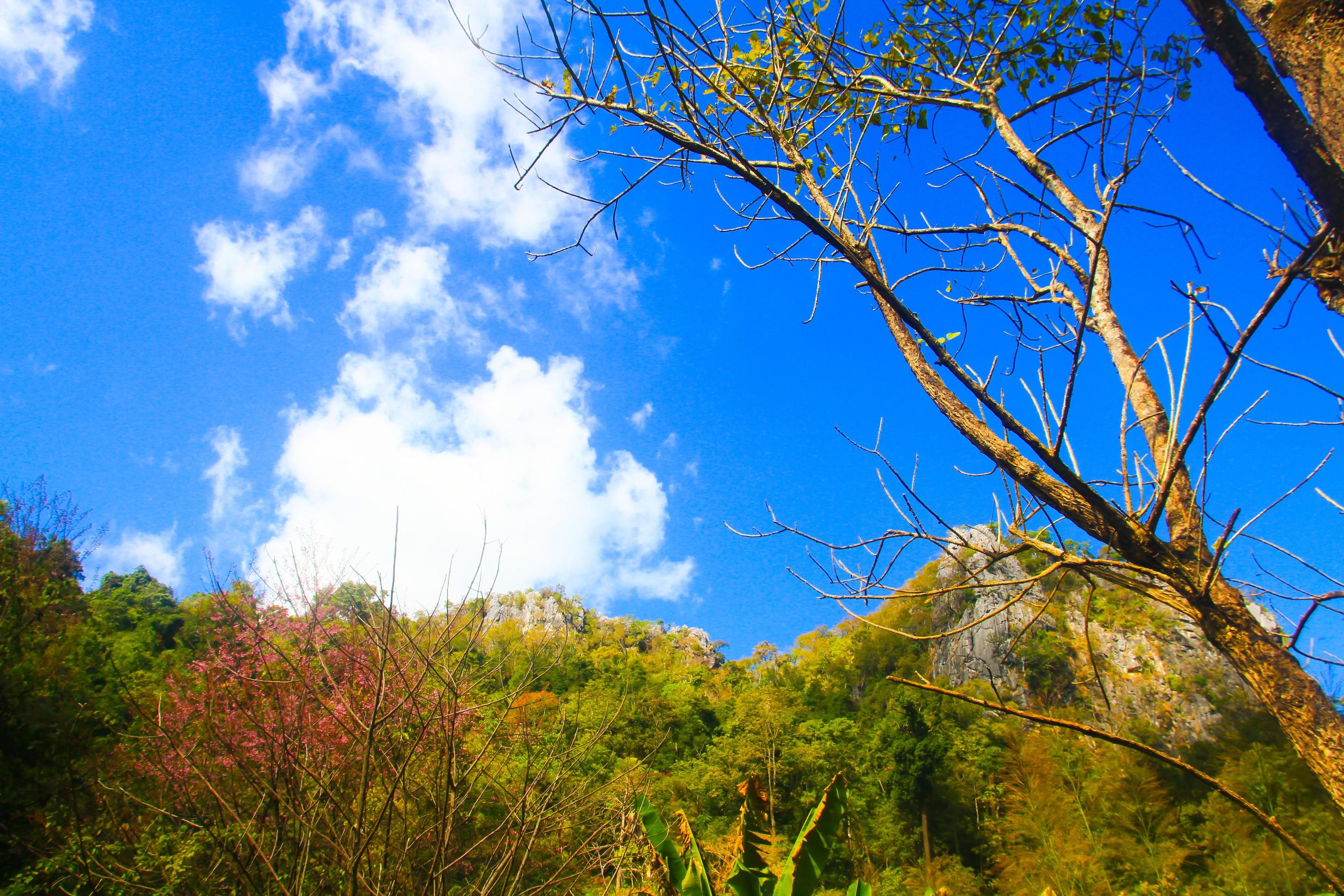 Beautiful Landscape of rocky Limestone Mountain and green forest with blu sky at Chiang doa national park in Chiangmai, Thailand Stock Free