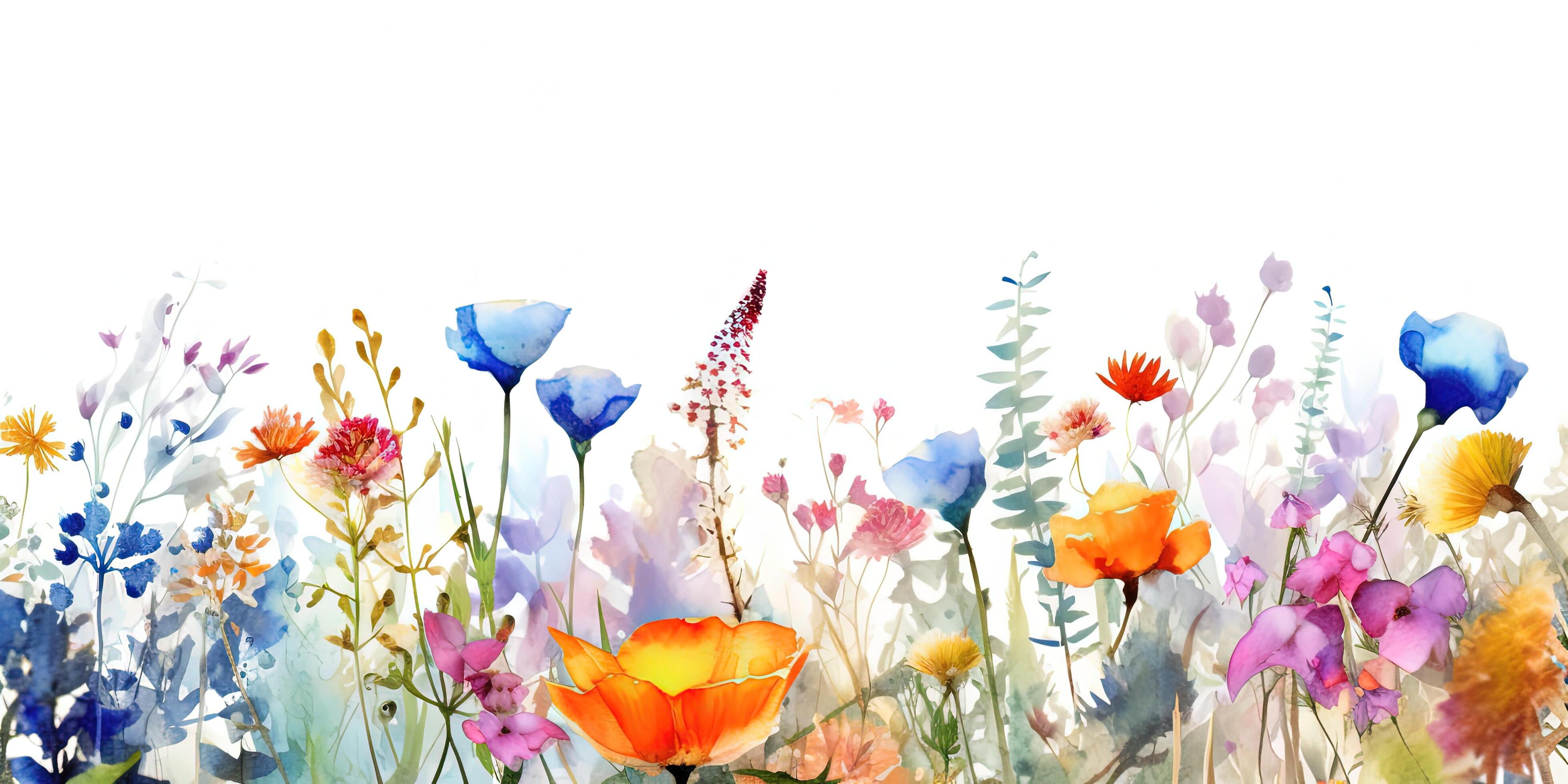 Watercolor Flower border. Illustration Stock Free