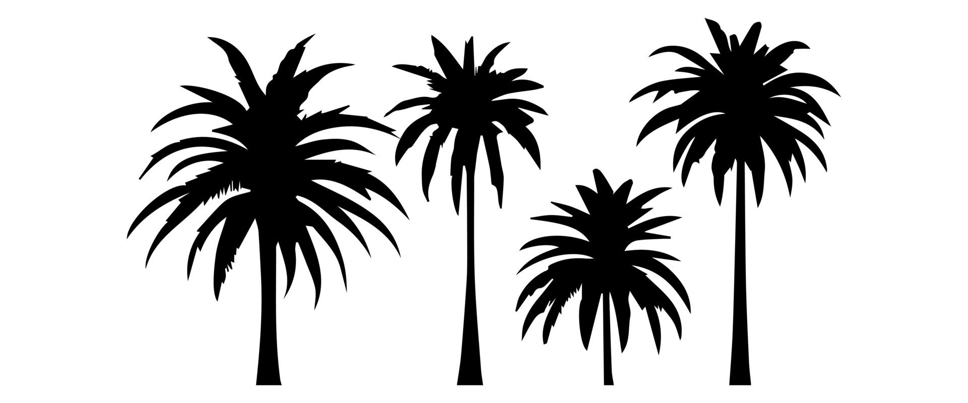 Black palm trees set isolated on white background. Palm silhouettes. Design of palm trees for posters, banners and promotional items. illustration Free Vector