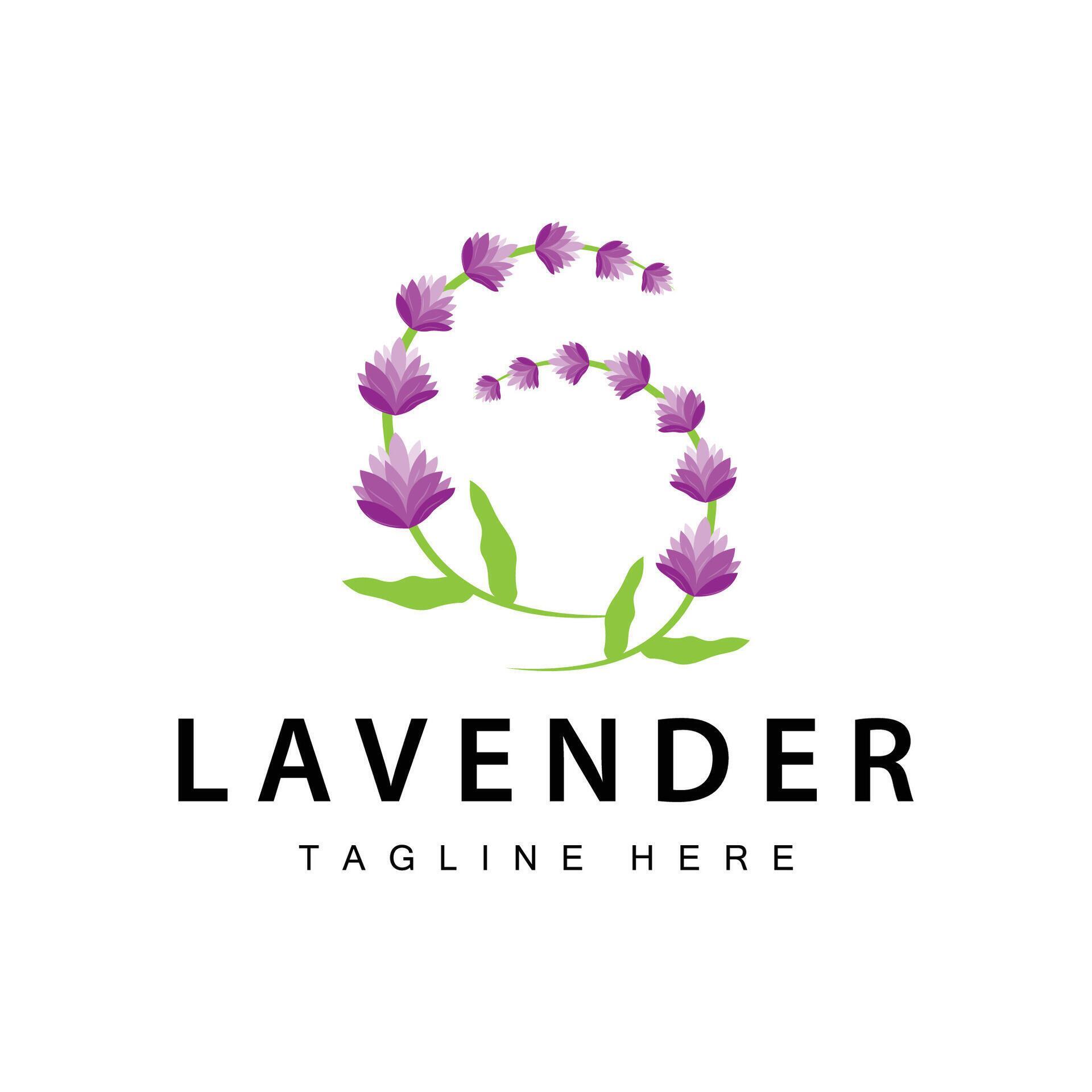 Lavender logo simple design vector cosmetic plant purple color and aromatherapy lavender flower garden template Stock Free