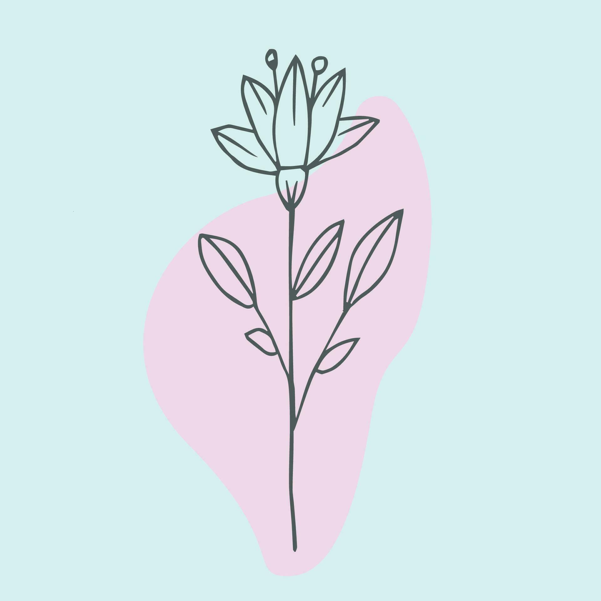 Hand Drawn Simple Flower Outline Stock Free