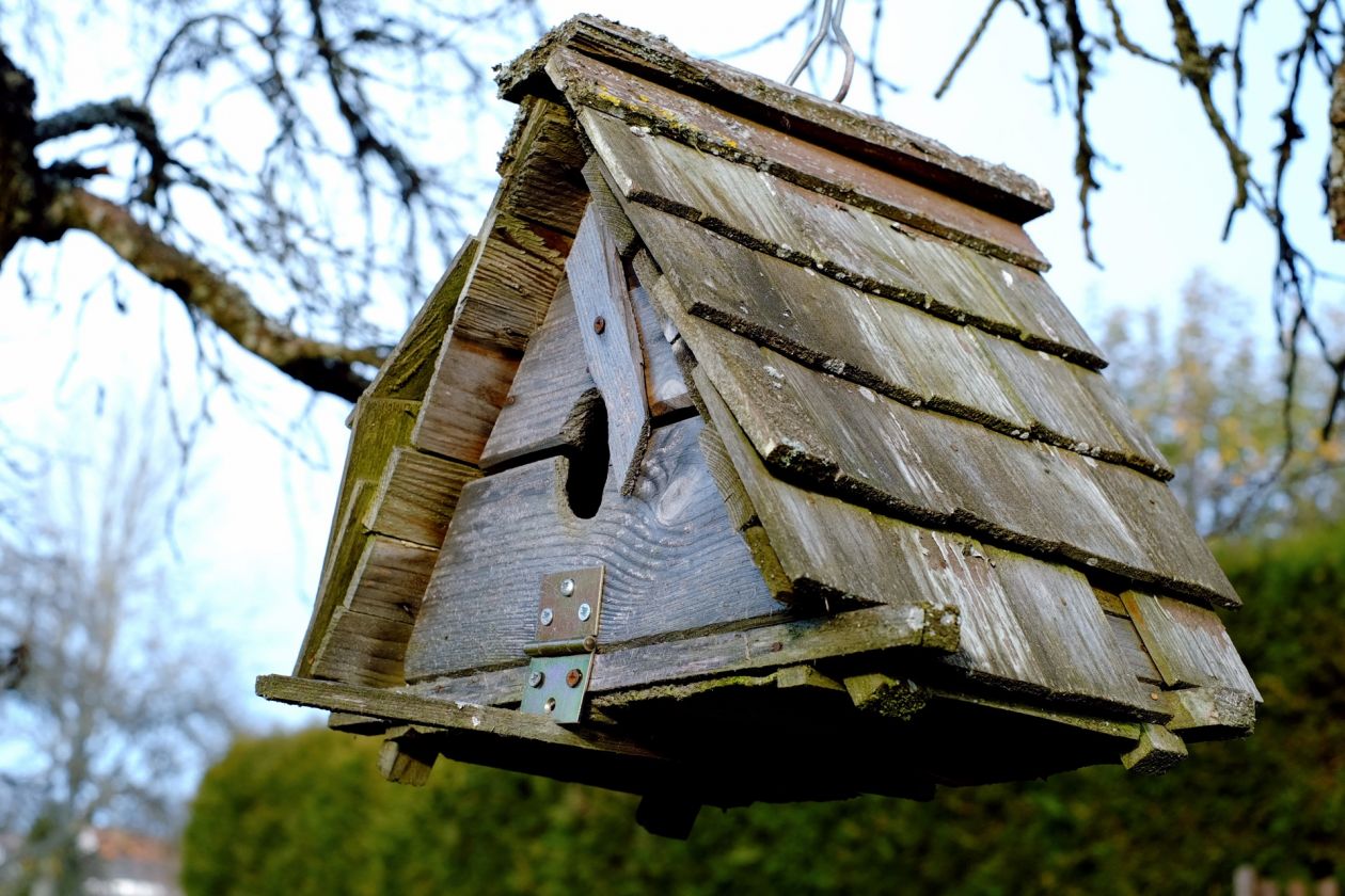 Birdhouse Stock Free