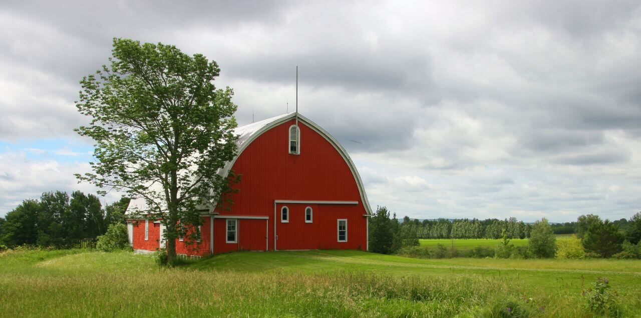 Agriculture Stock Free