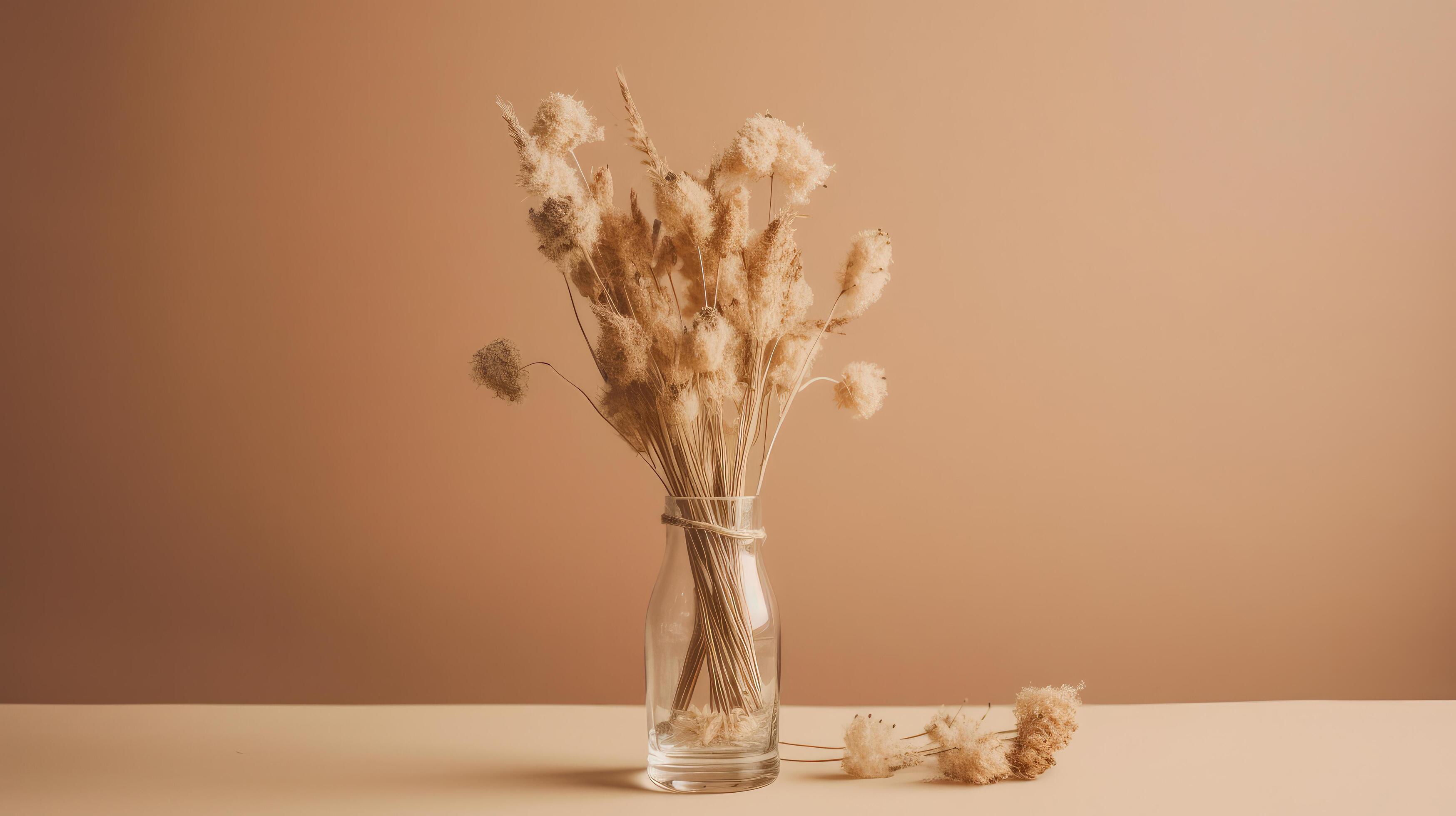 Minimalist background with dry flowers. Illustration Stock Free