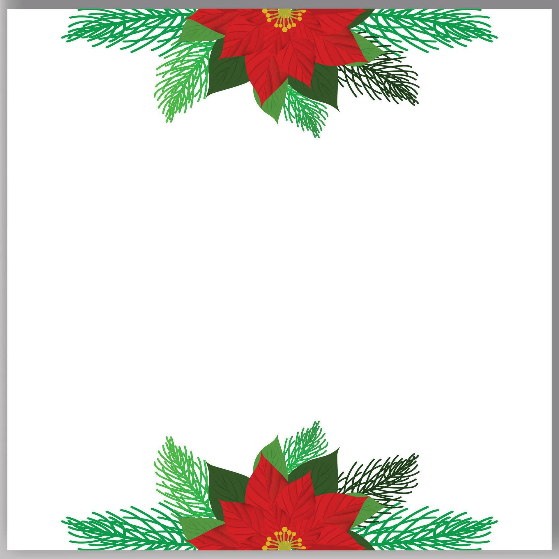 Vector Christmas tree branches and red poinsettia flower in a holiday line arrangement on a white background Stock Free