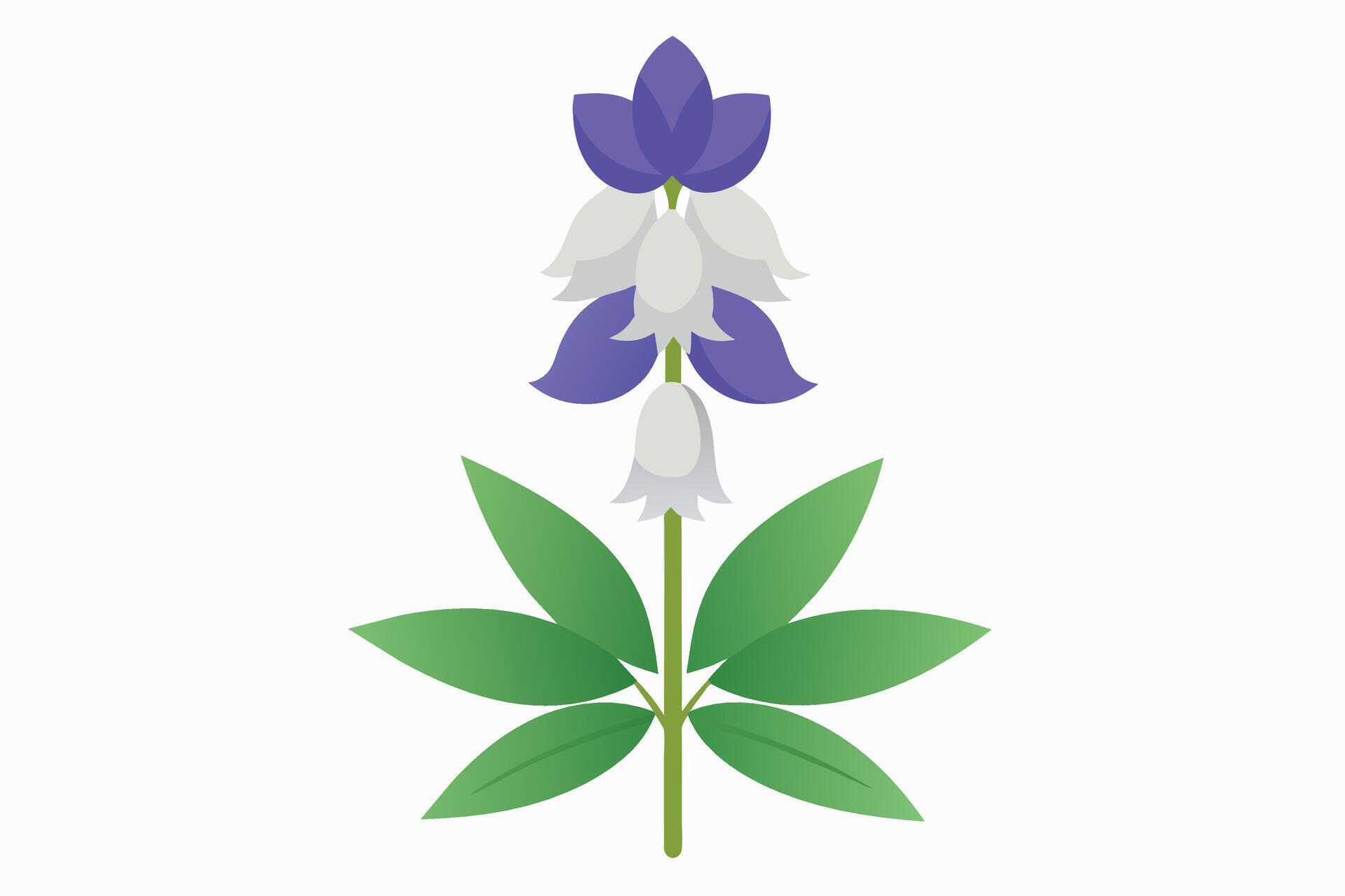 Monkshood Flower Vector Illustration Isolated on a Clean Background Stock Free