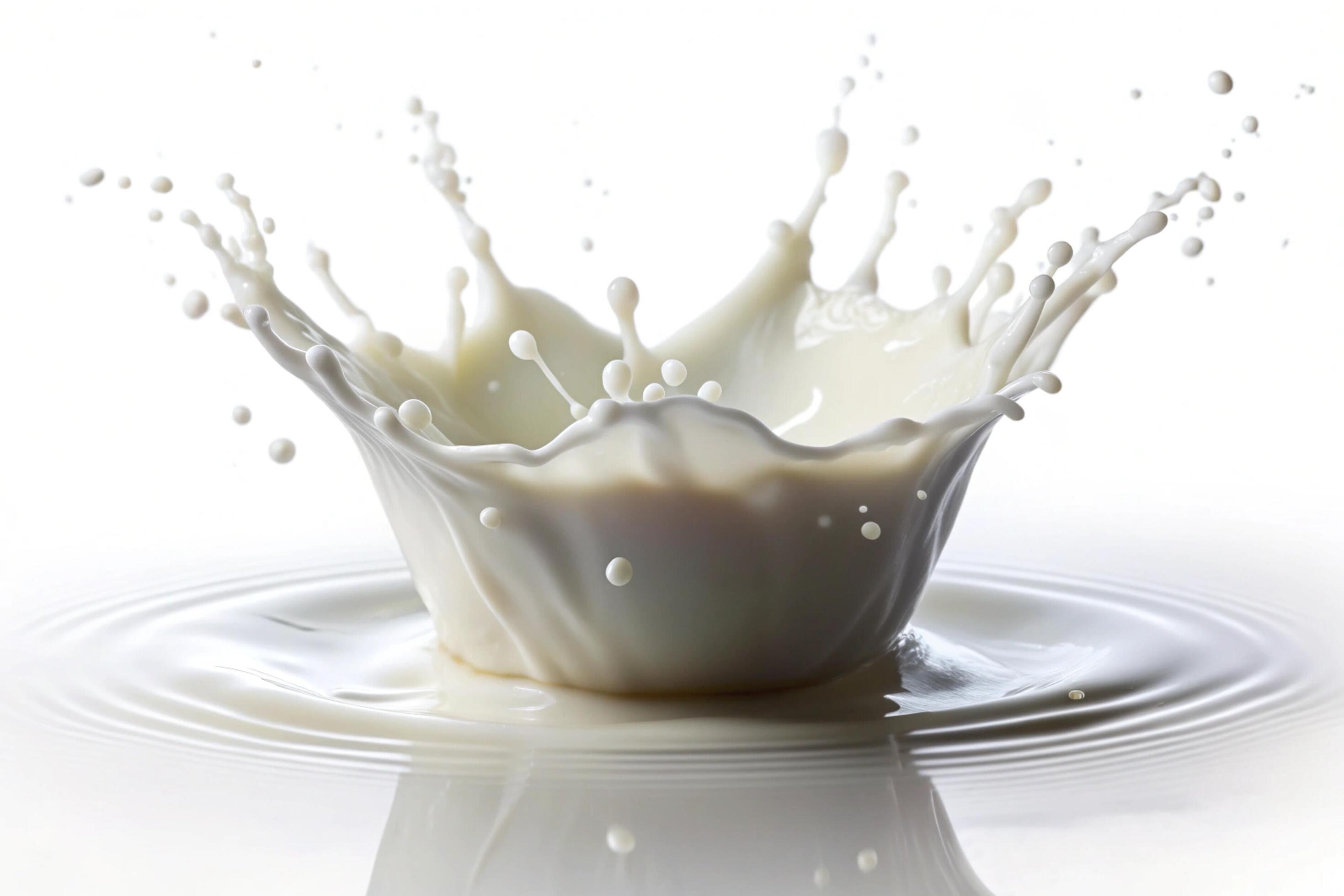 Milk splashes on white background Stock Free