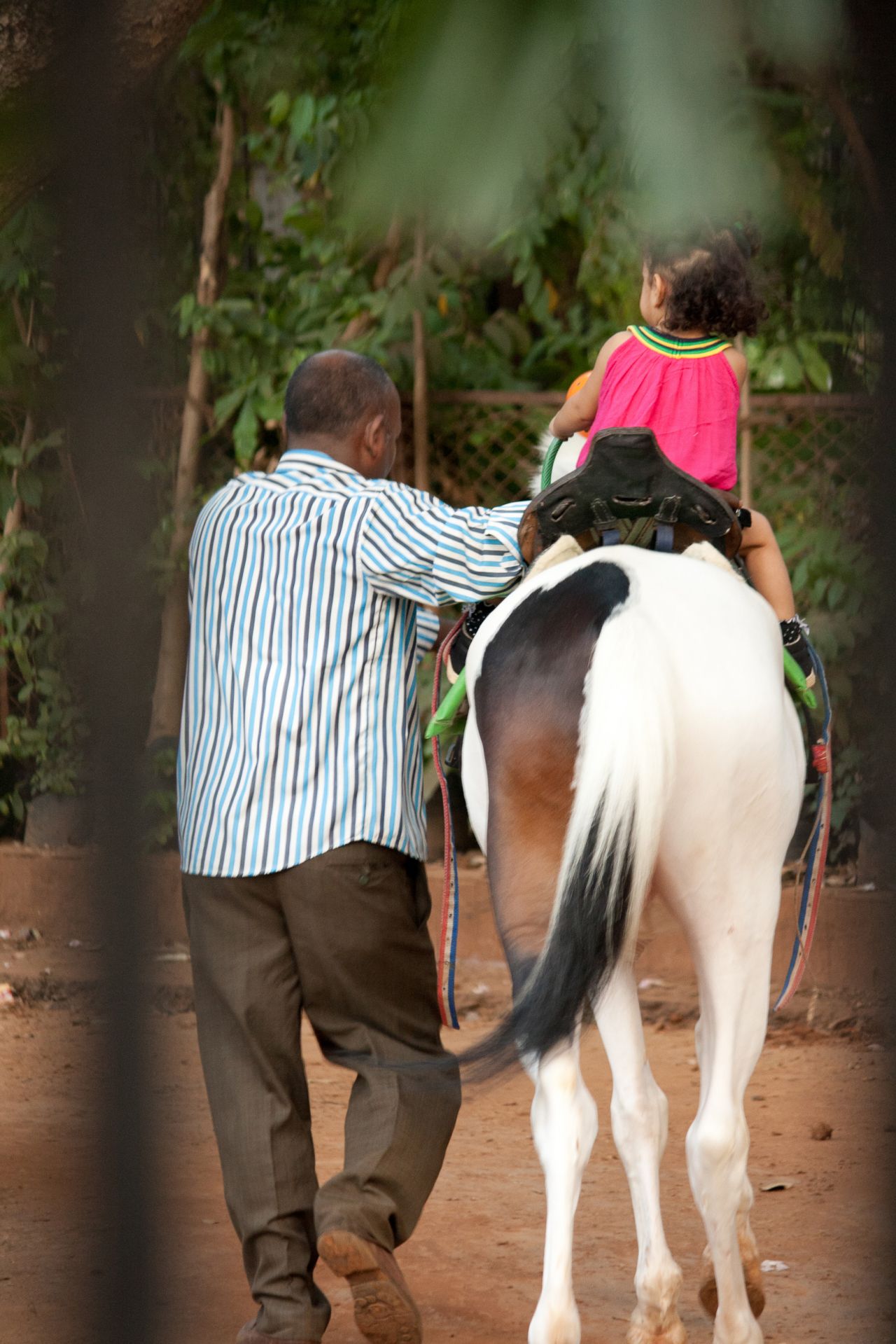 Child Horse Ride Stock Free