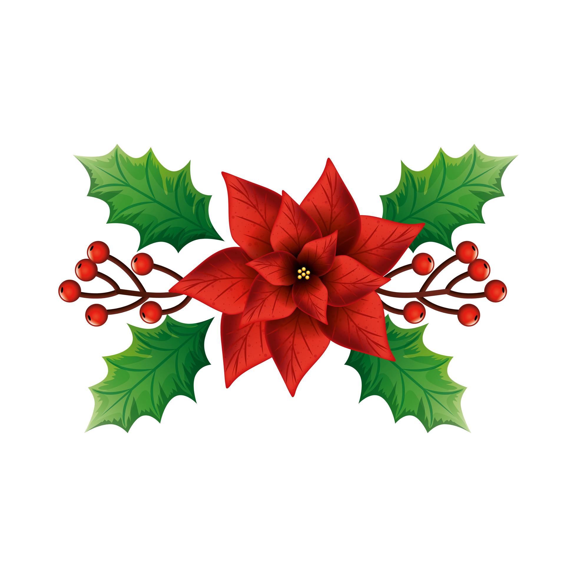 flower christmas decorative with leafs Stock Free