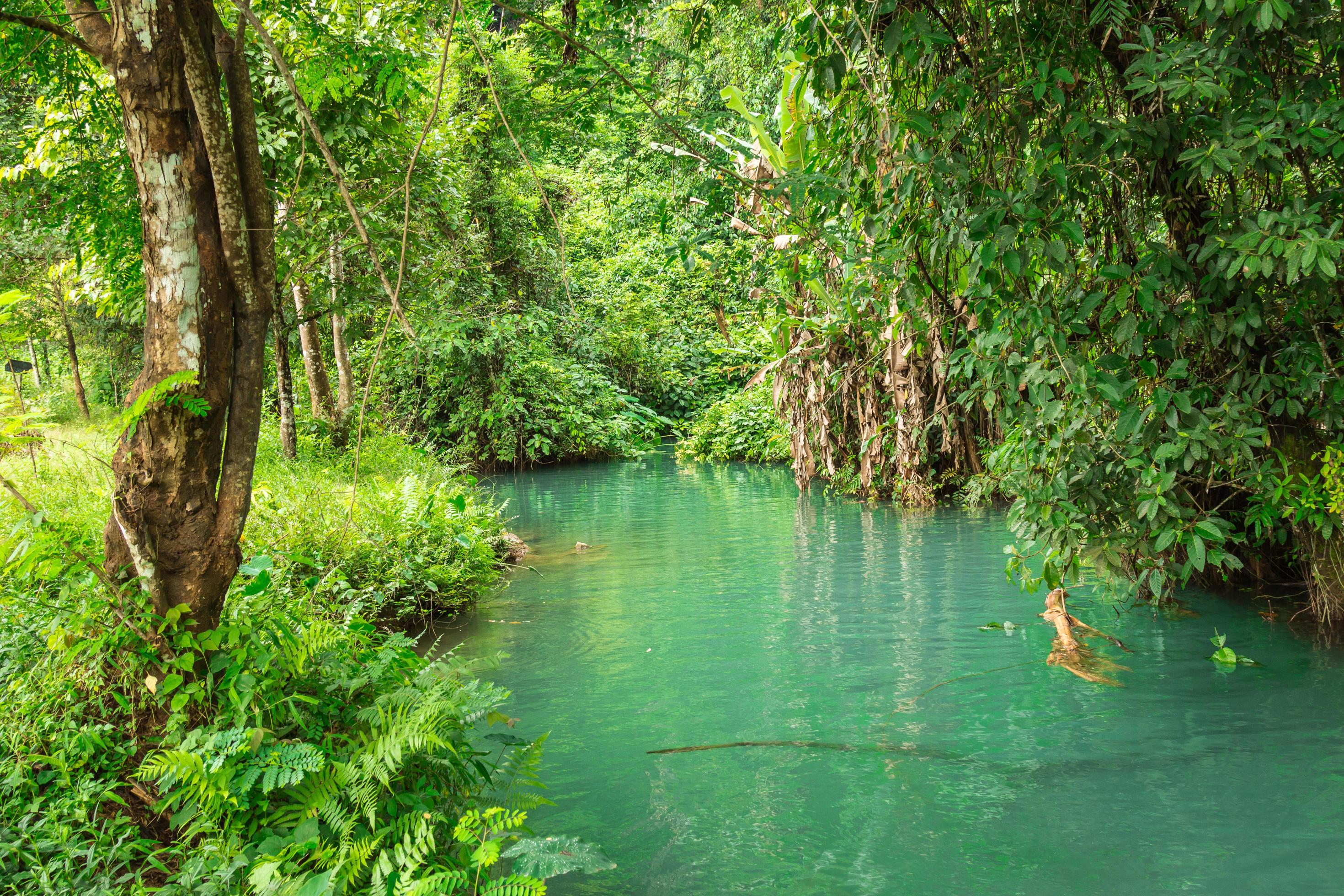 Blue lagoon, Vang vieng, Laos Stock Free