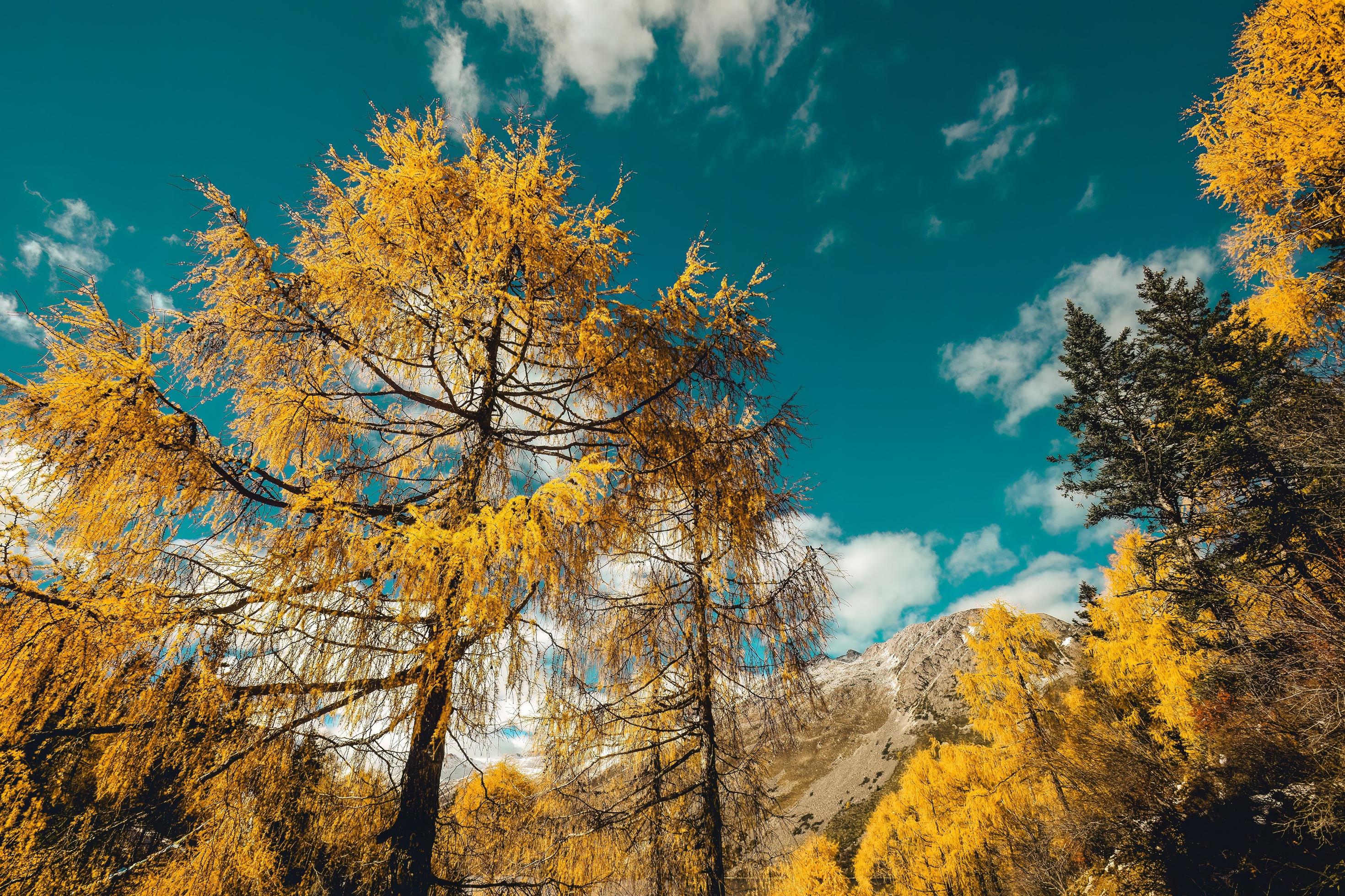 Spectacular scenery in the high mountains of western Sichuan, China, with different seasons Stock Free