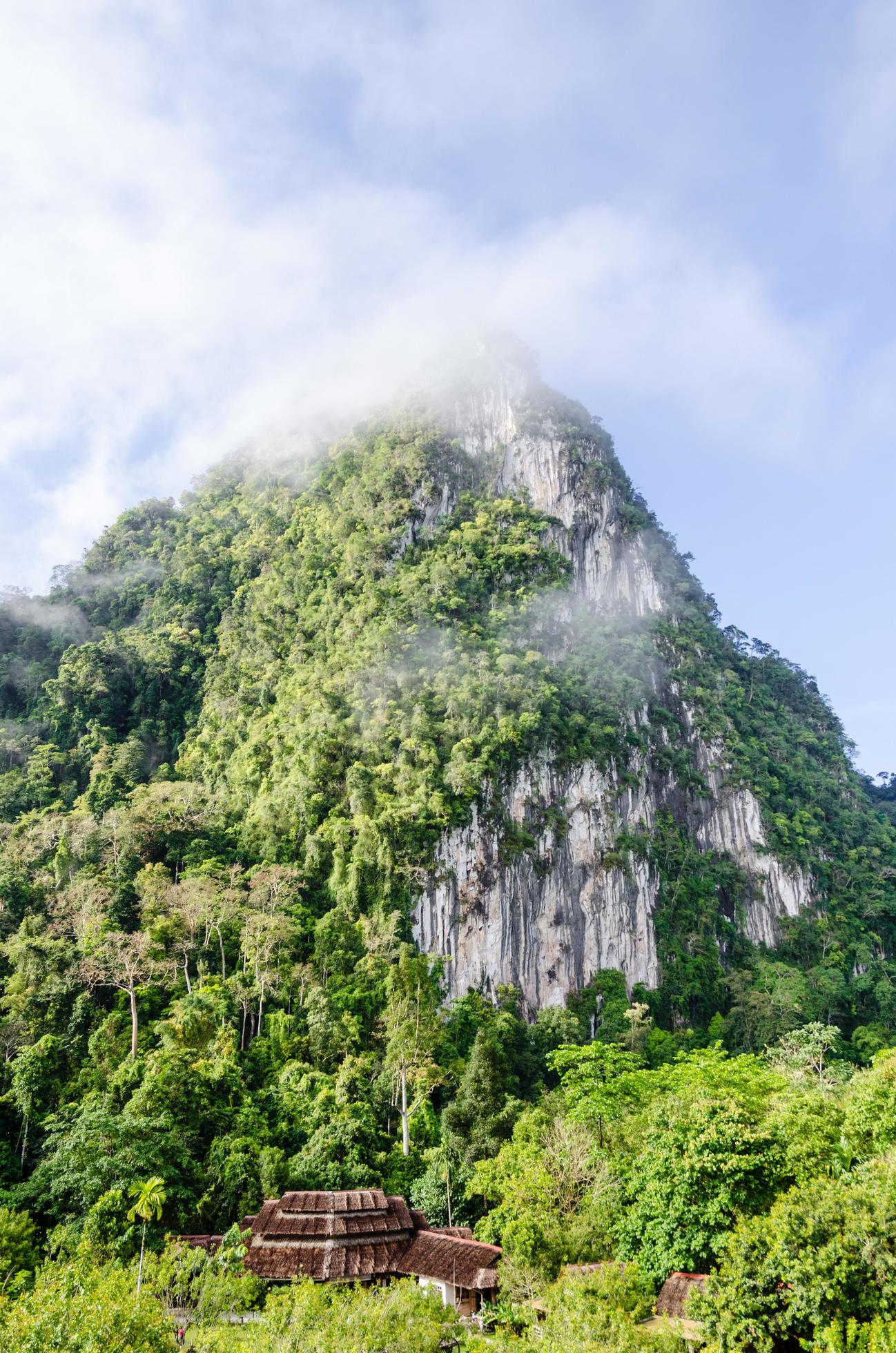 Lush high mountains covered by mist Stock Free