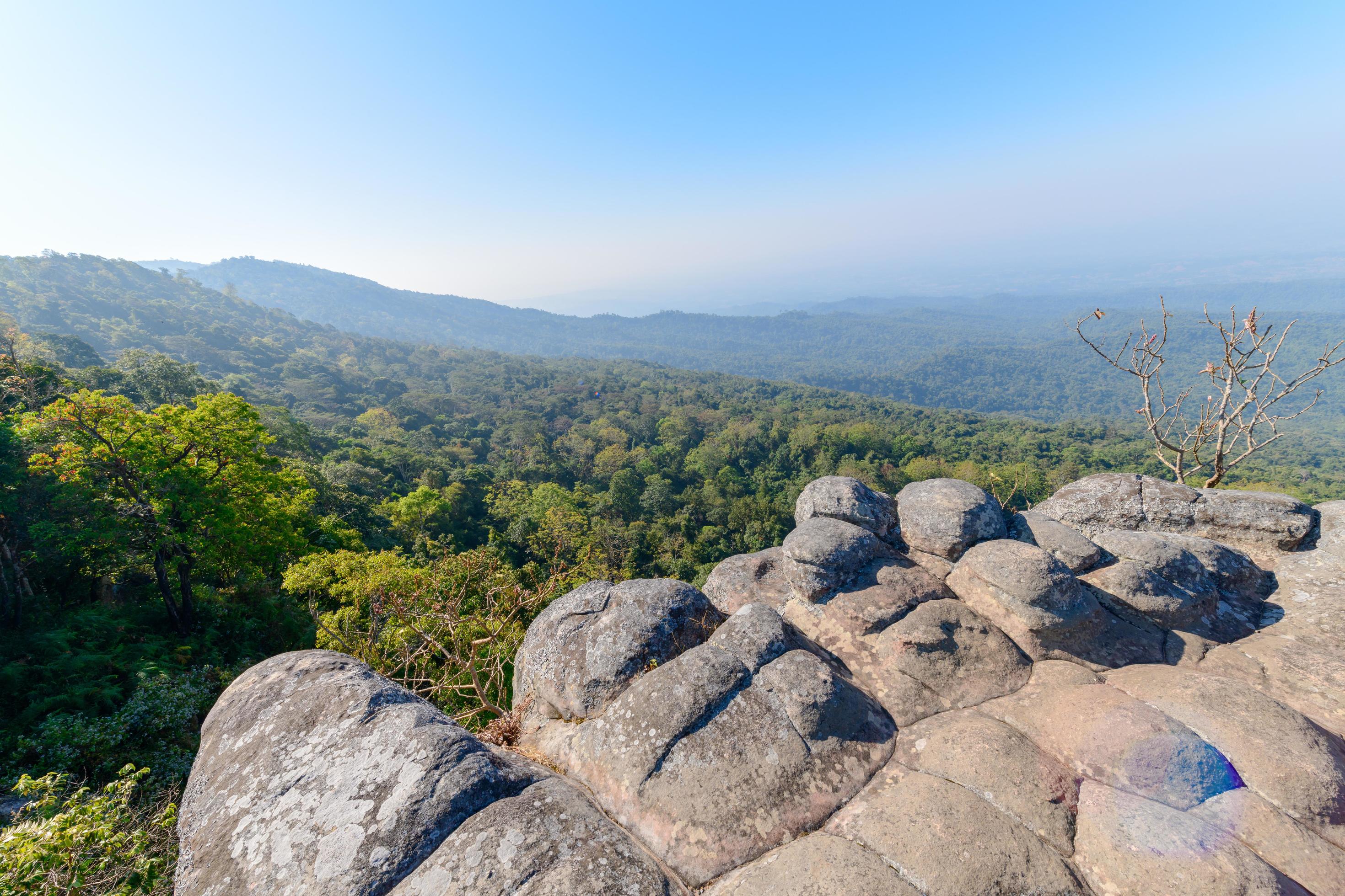 rock and landscape in Phu Hin Rong Kla National Park Stock Free