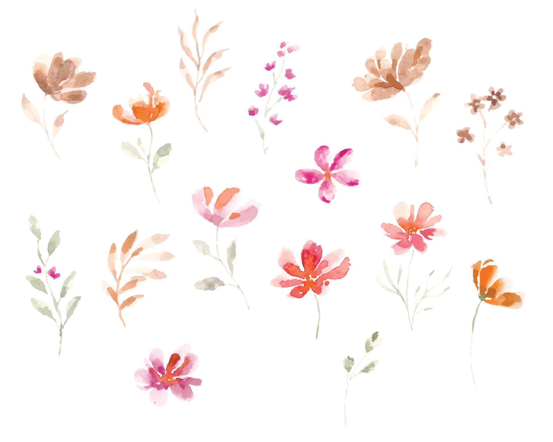 Wild Watercolor Flower Set Illustration Stock Free