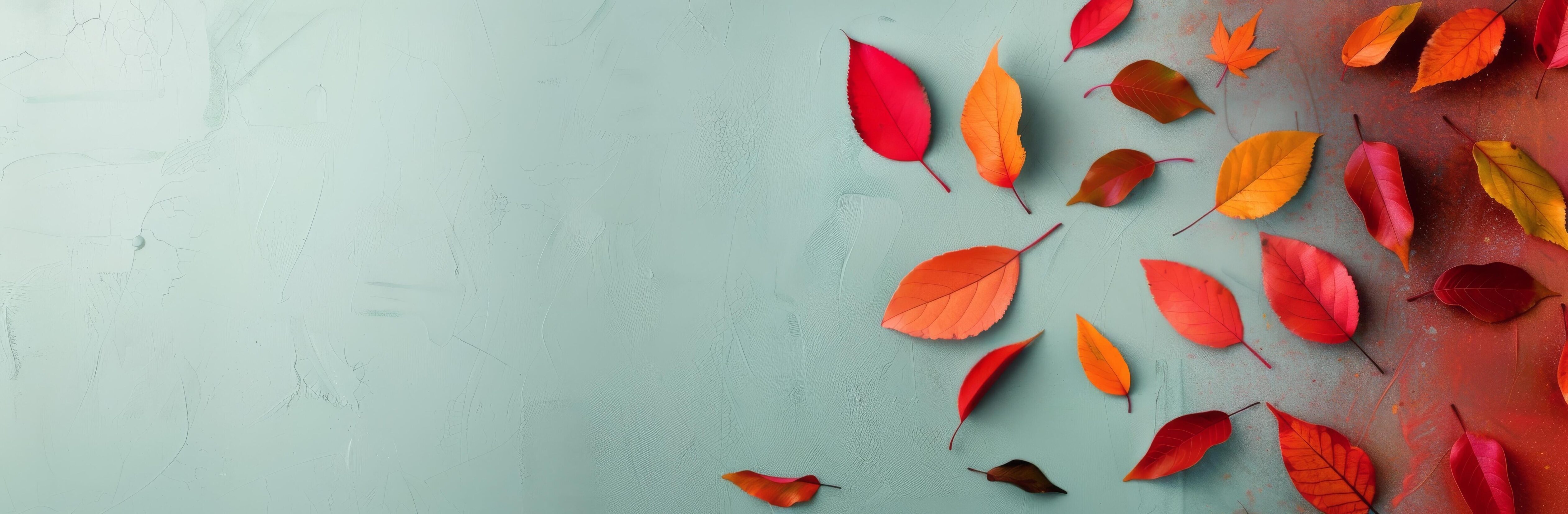 Autumn Leaves and Berries on White Background Stock Free