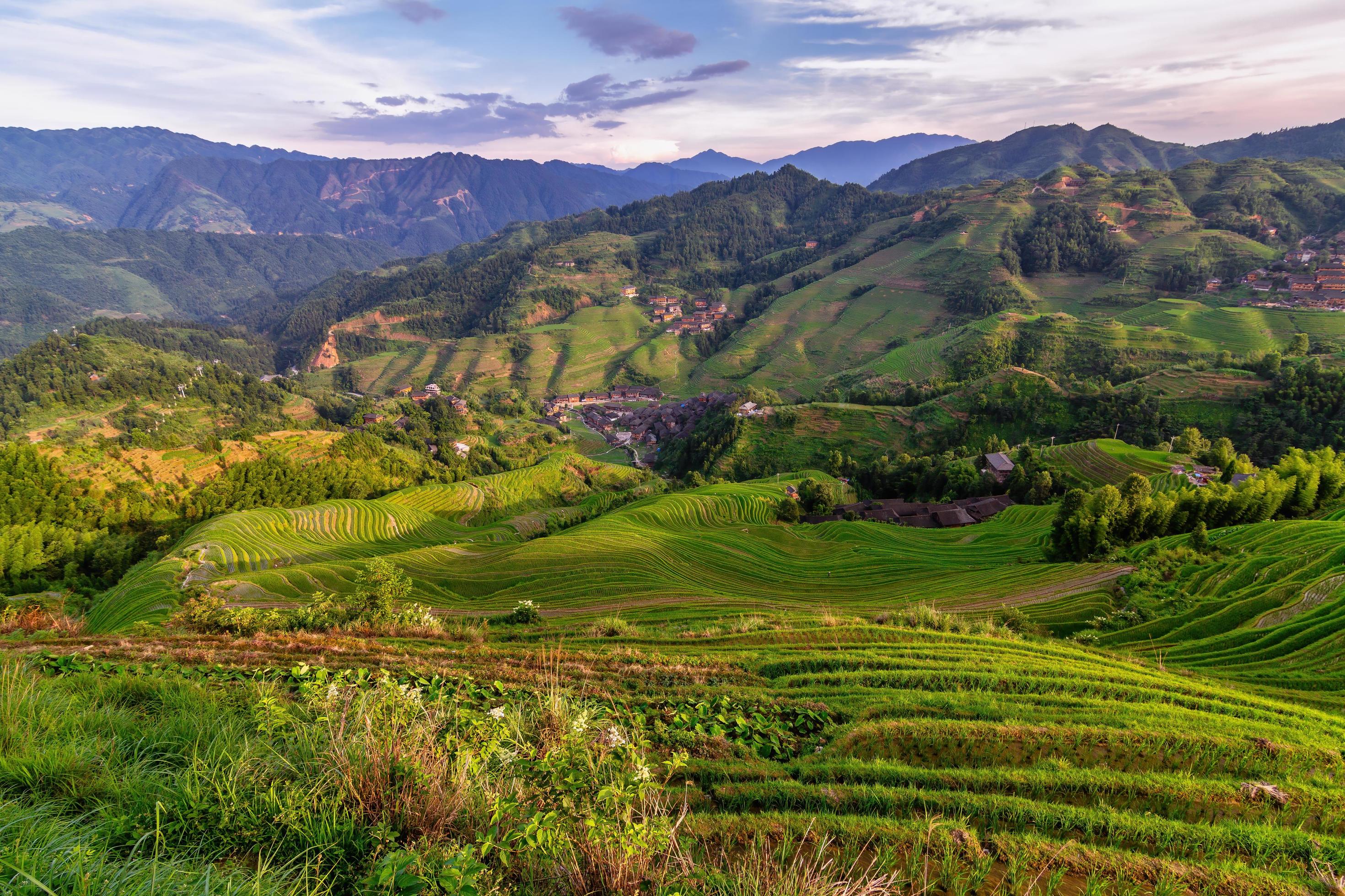 Terraced rice fields in Longsheng, China Stock Free