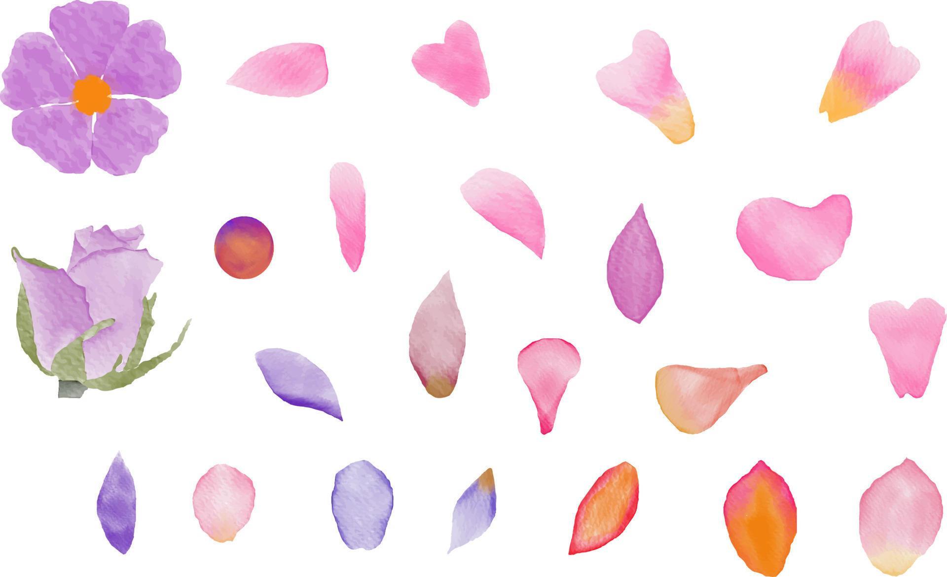 Set of vector watercolor cute flower petals brush Stock Free