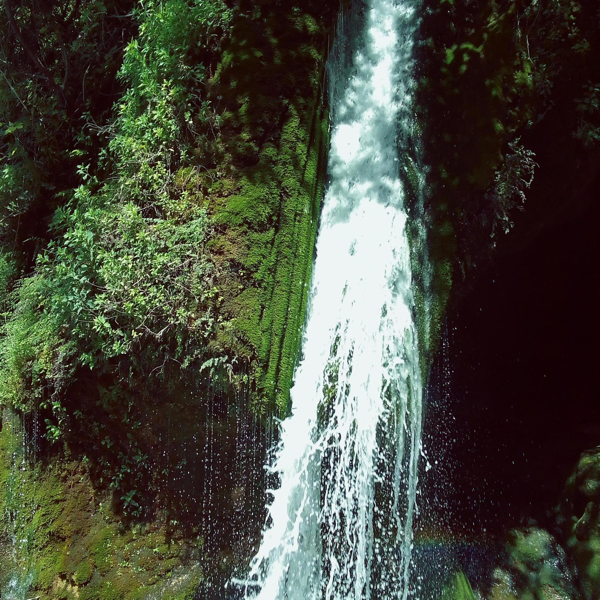 Discover the peaceful beauty of a small waterfall in a natural forest, a serene journey to the heart of nature tranquility Stock Free