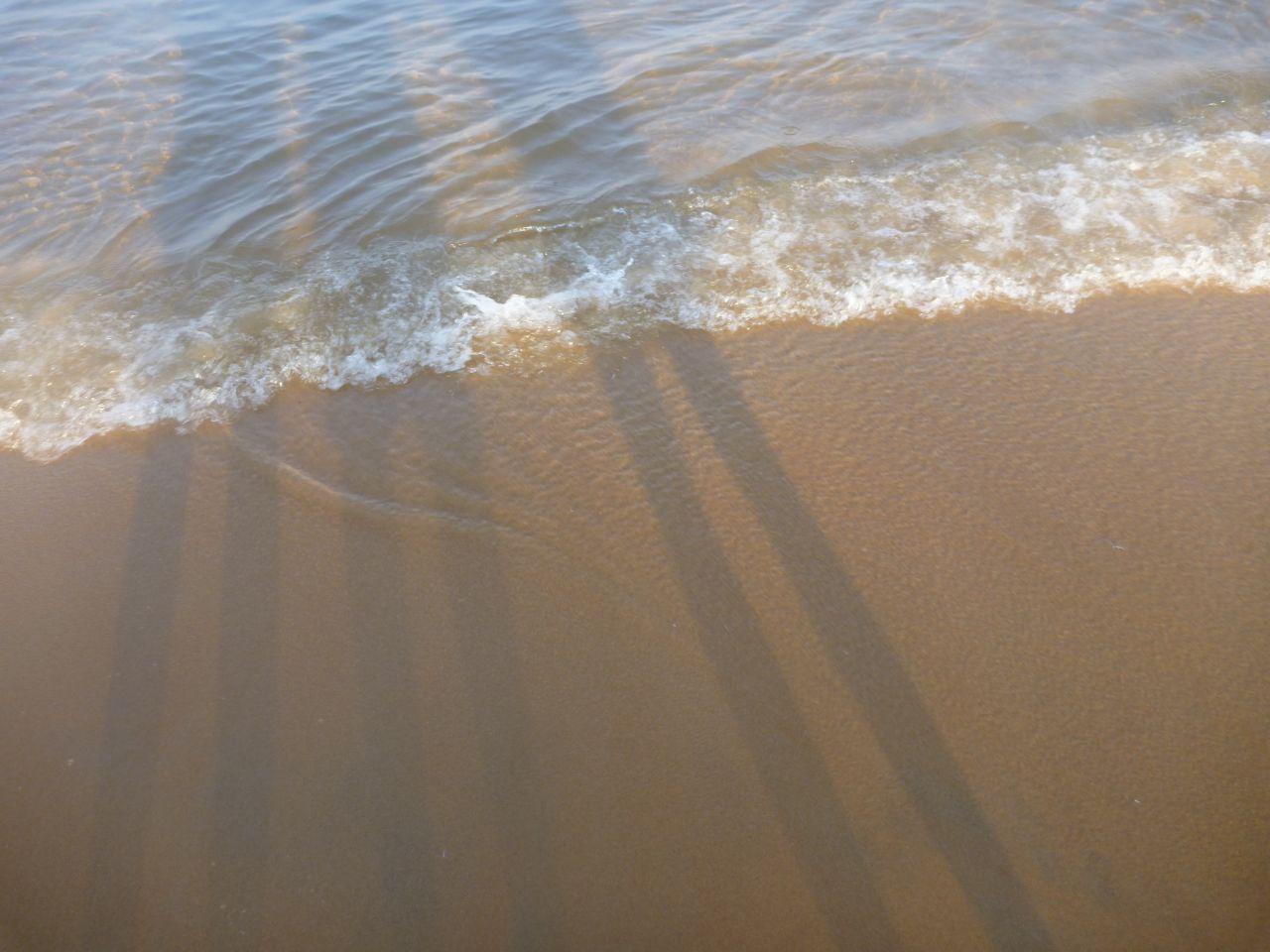 Shadow Of People On Beach Stock Free