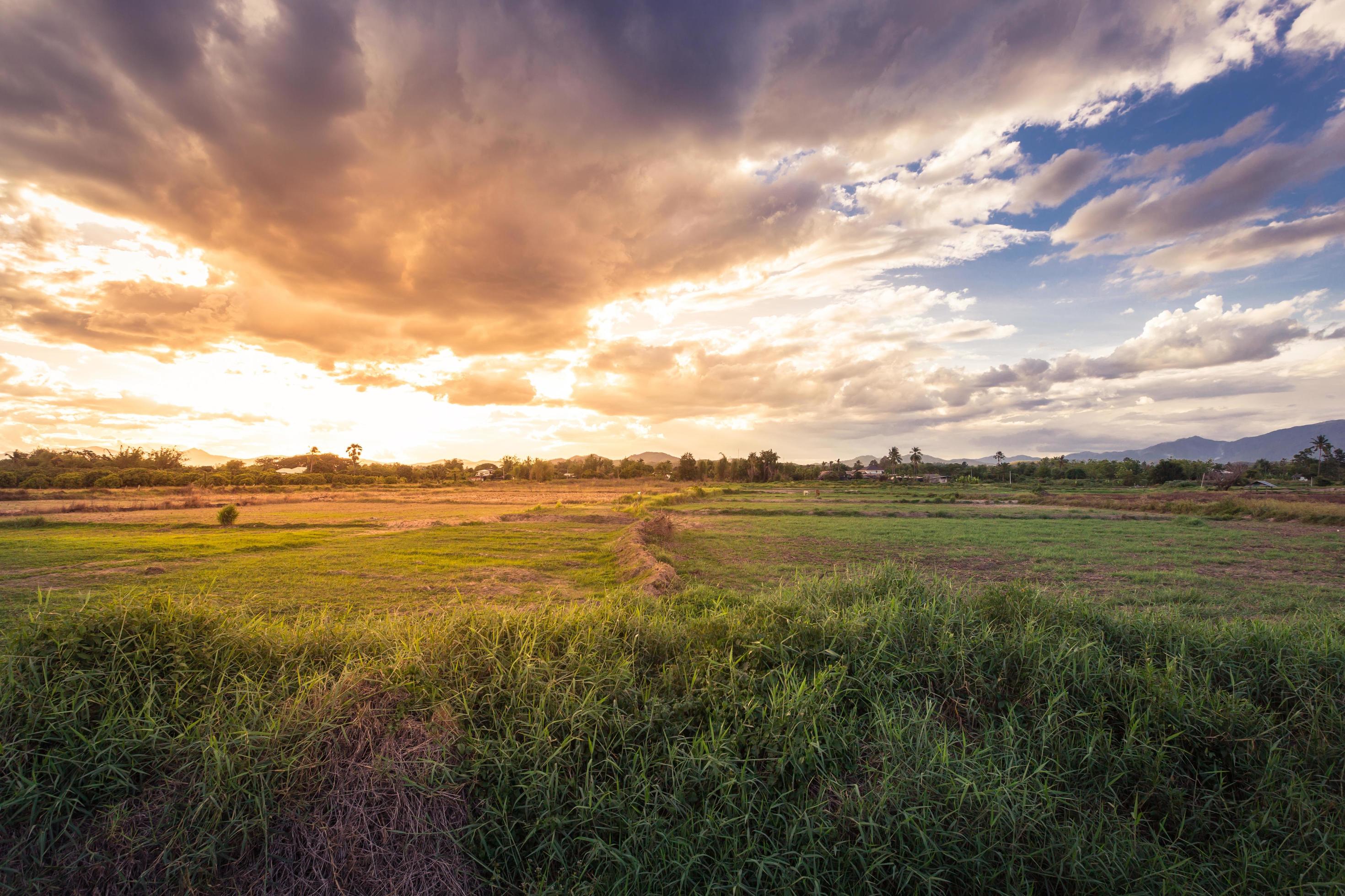 field meadow and beautiful sunset Stock Free