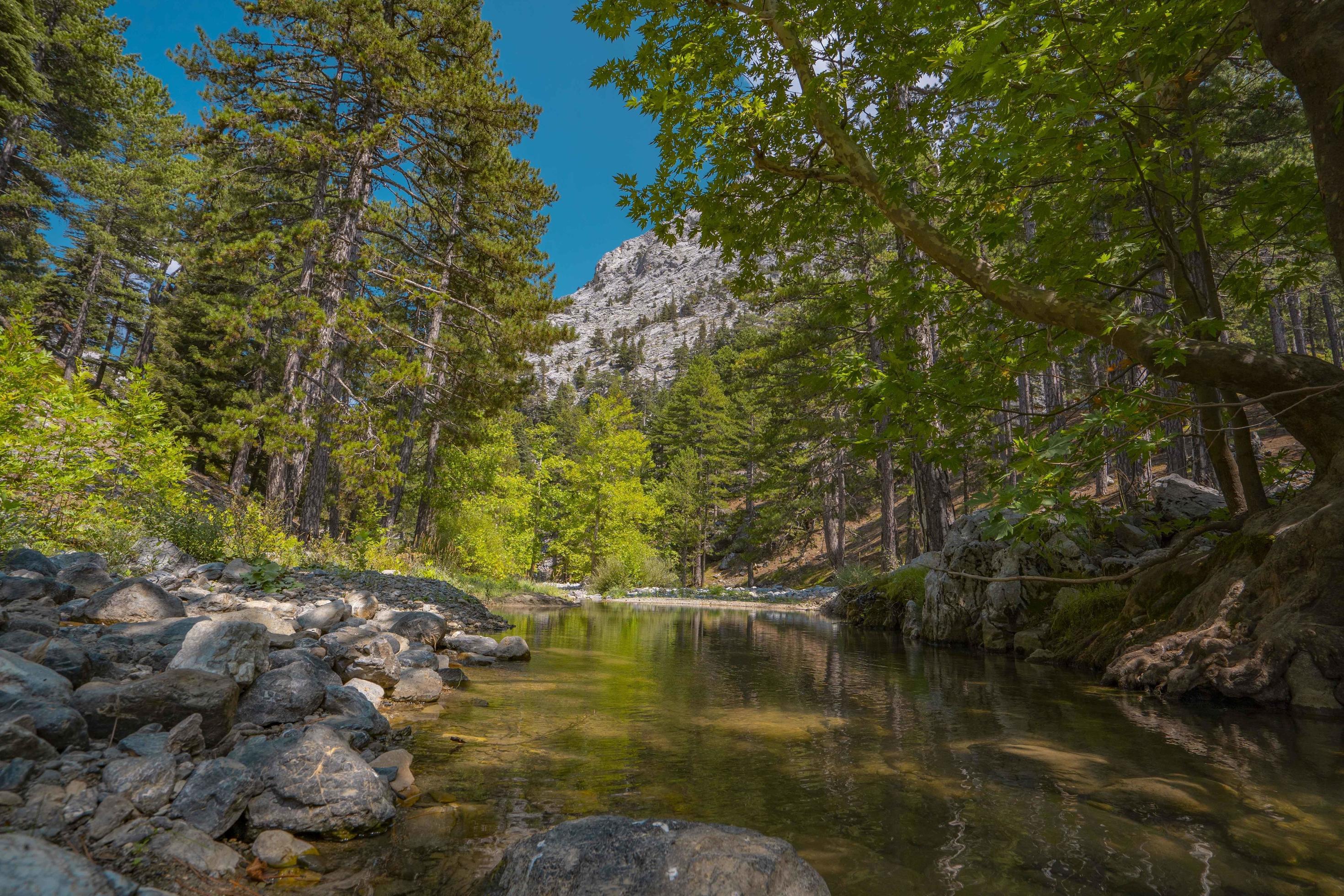 Mountain waterfall in a rocky gorge overgrown with green forest. Stream of icy water falls on mossy stones. Stock Free