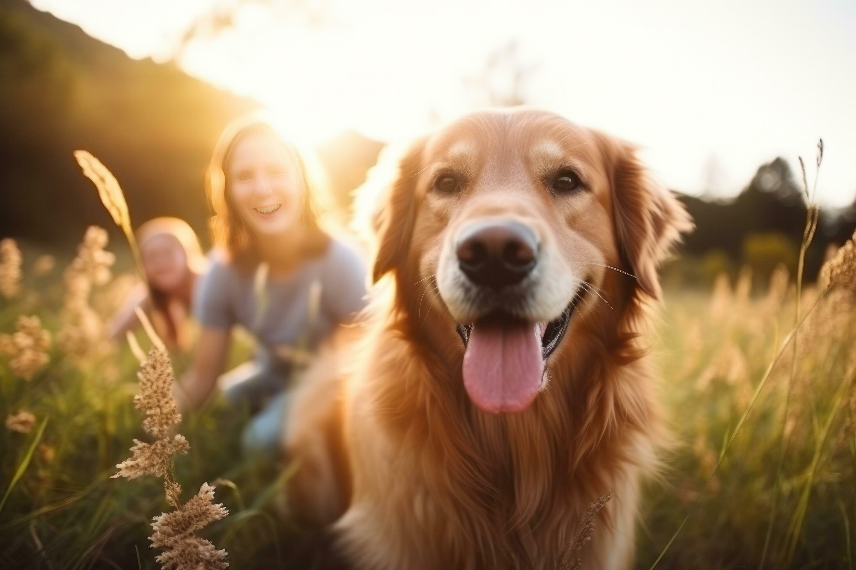 Happy family with dog Stock Free