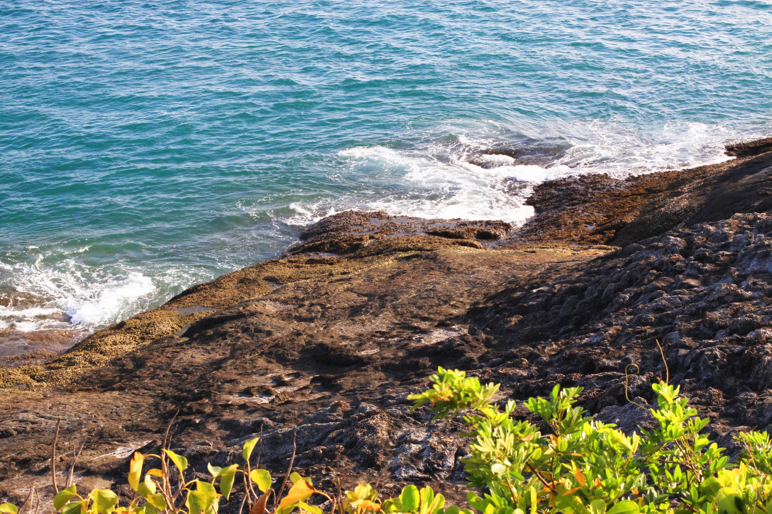 Beautiful beach plants and seascape with sunset of sea horizon and Calm on rock Cape in Phuket island, Thailand. Stock Free