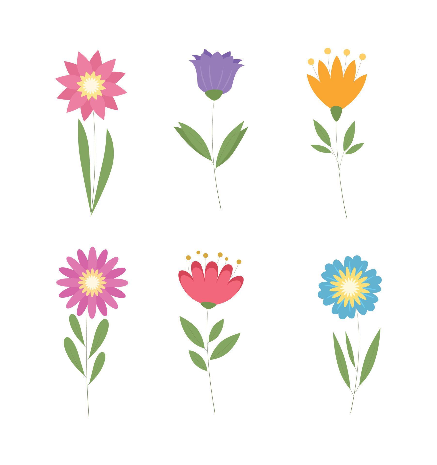 
									Beautiful Spring Flowers Vector Stock Free