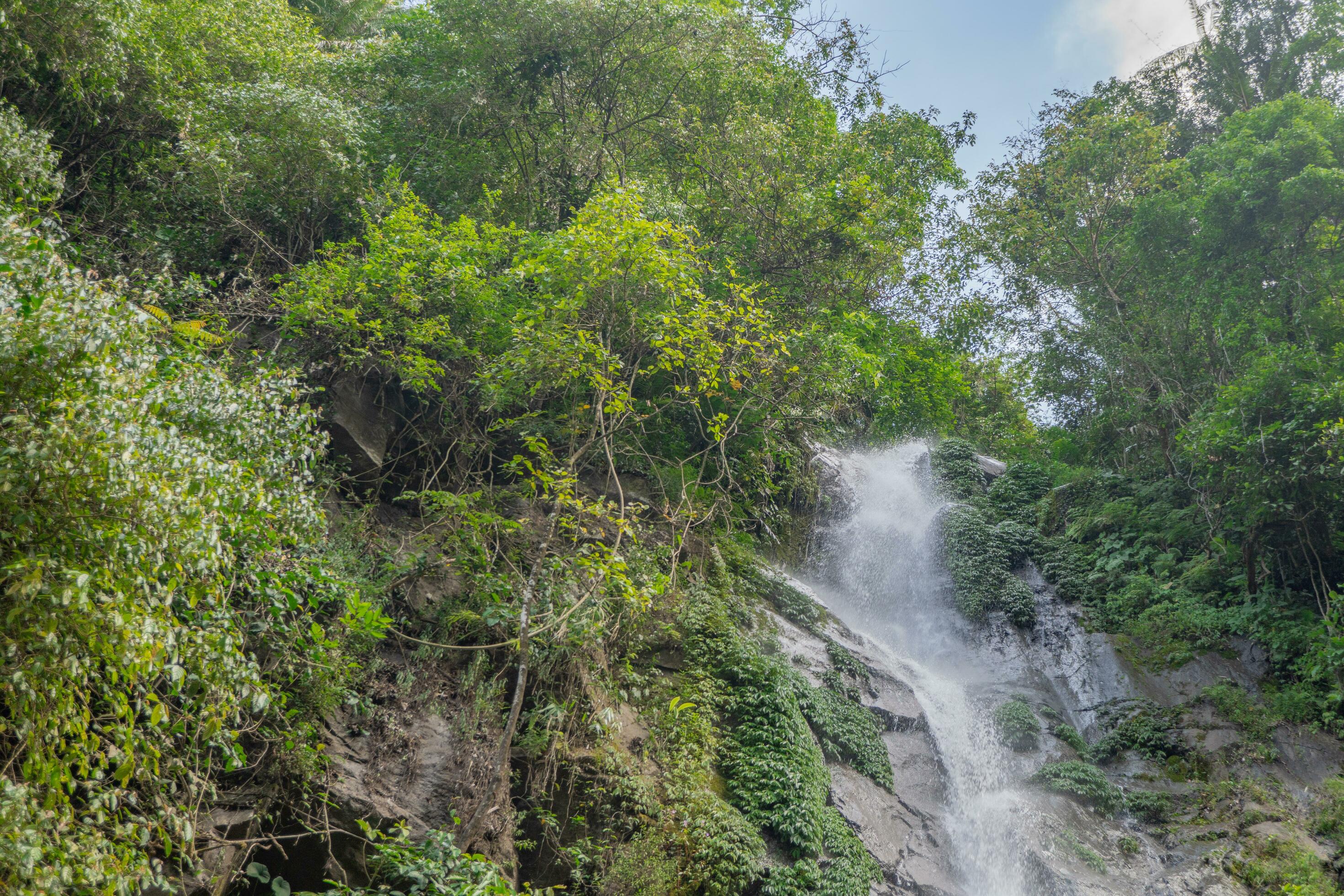 Small water fall on the tropical forest when rain season. The photo is suitable to use for adventure content media, nature poster and forest background. Stock Free