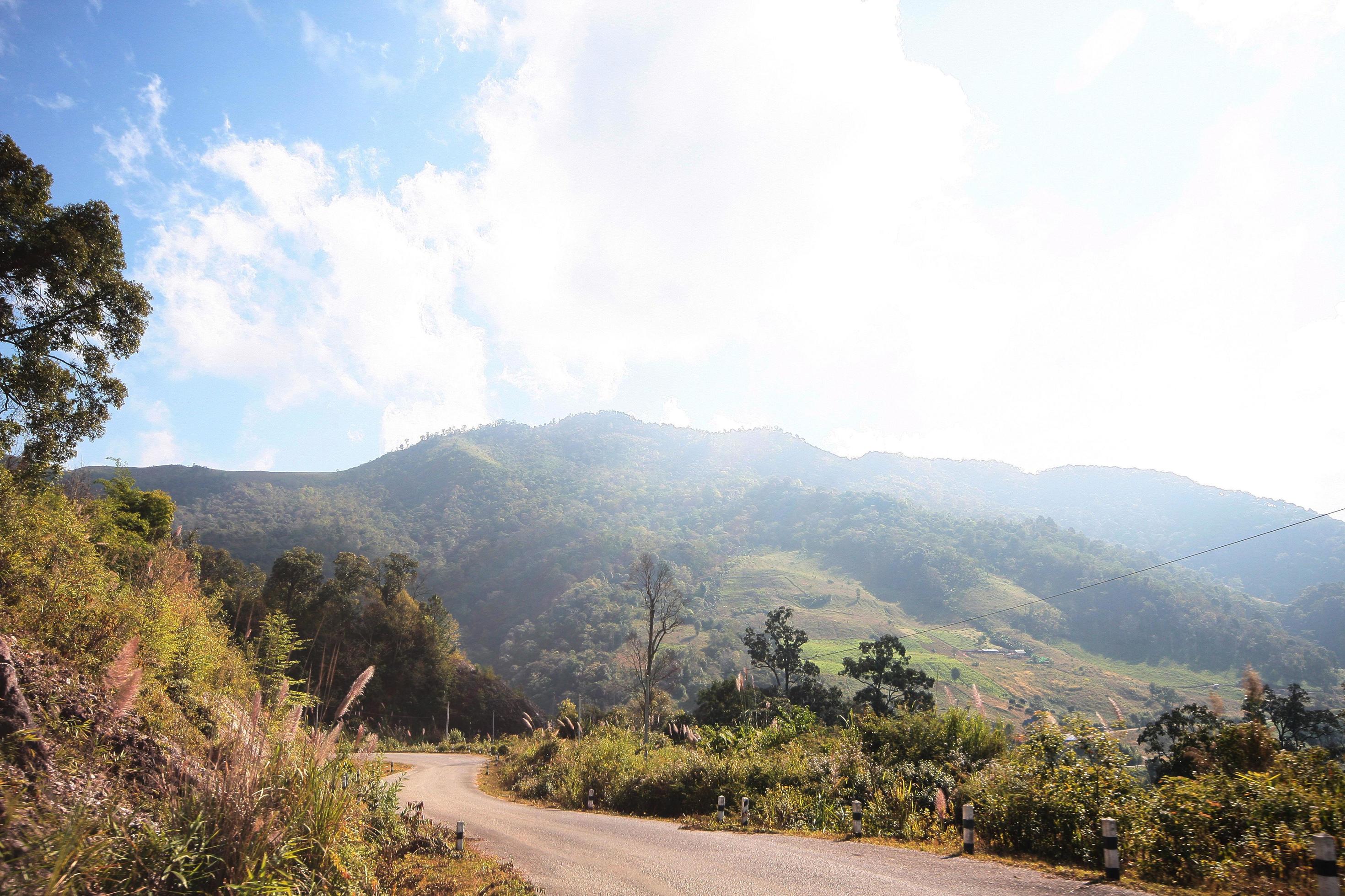 Yellow Sign label warning of curve road on the mountain in Thailand Stock Free