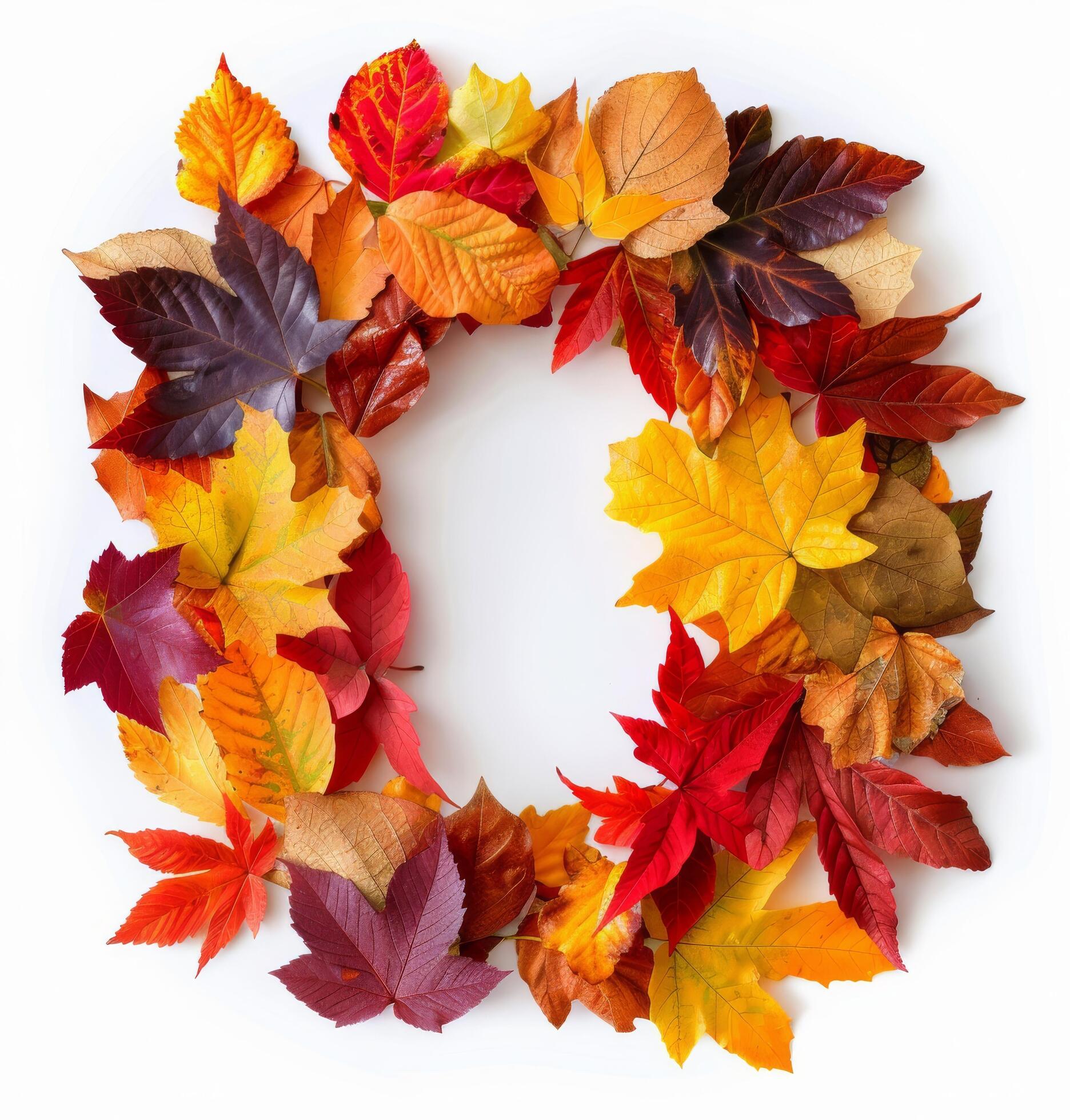 Autumn Wreath Made of Colorful Maple Leaves on a White Background Stock Free