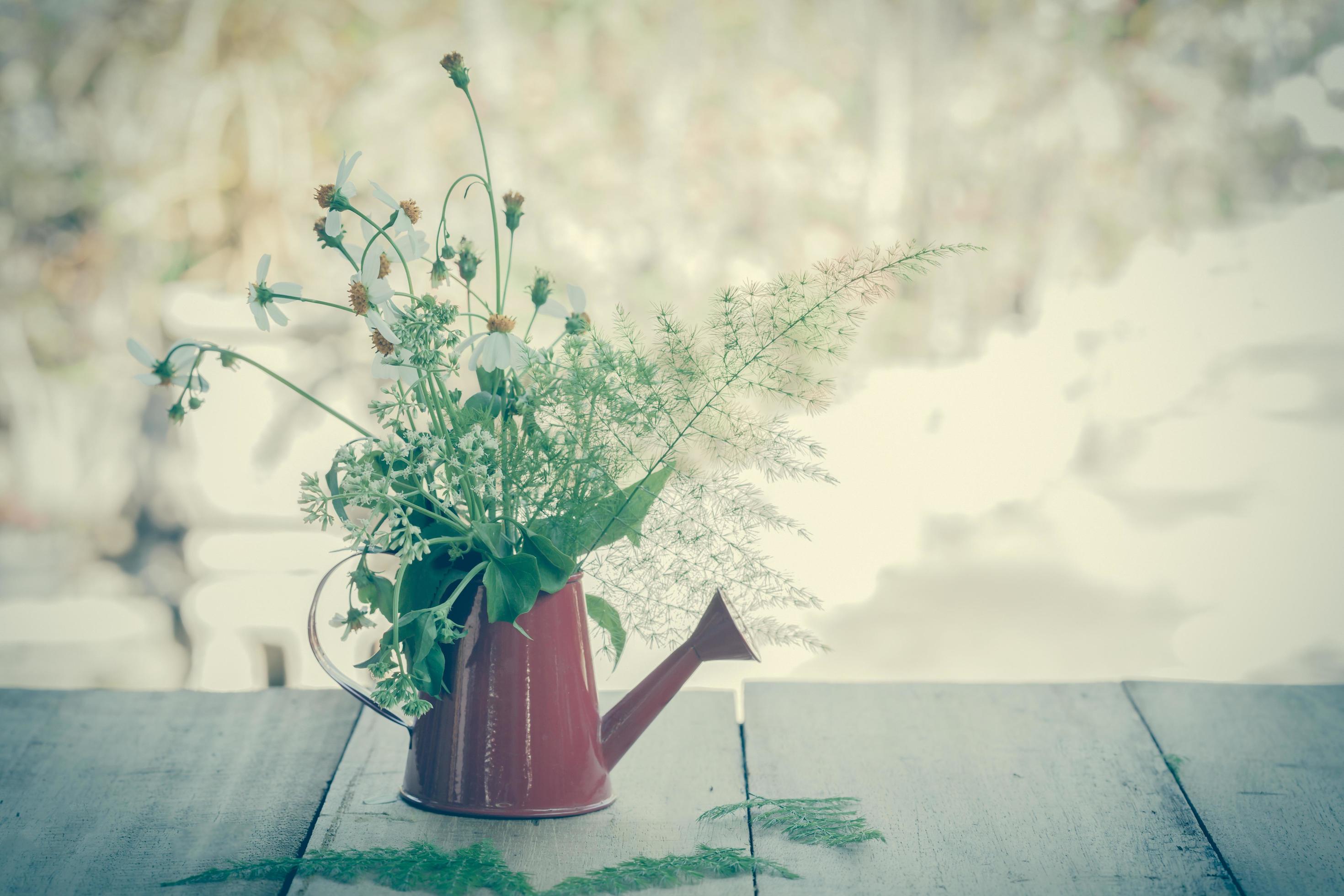 Decoration with small flowers in a red watercan Stock Free