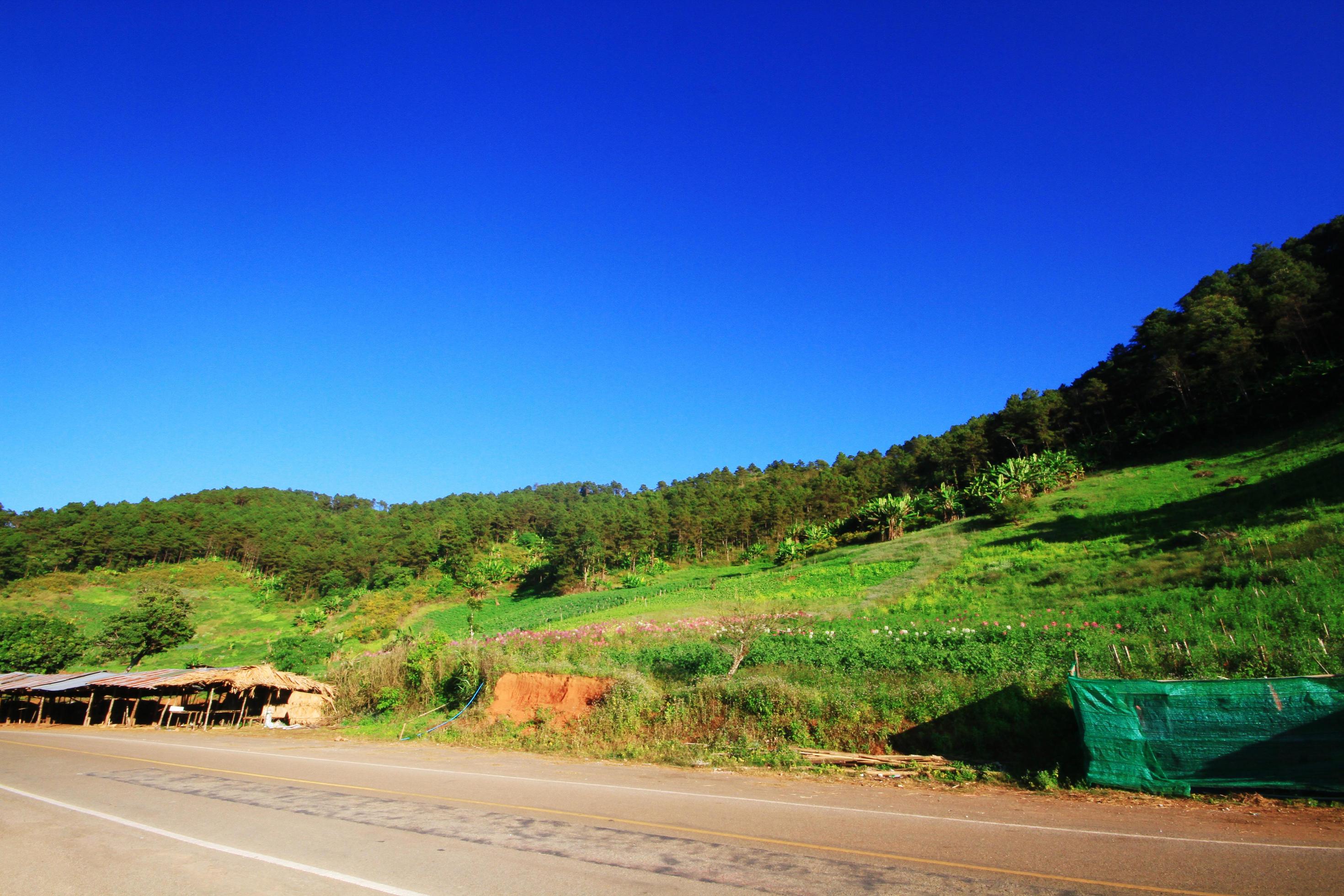 Green Mountain valley and forest with blue sky Stock Free