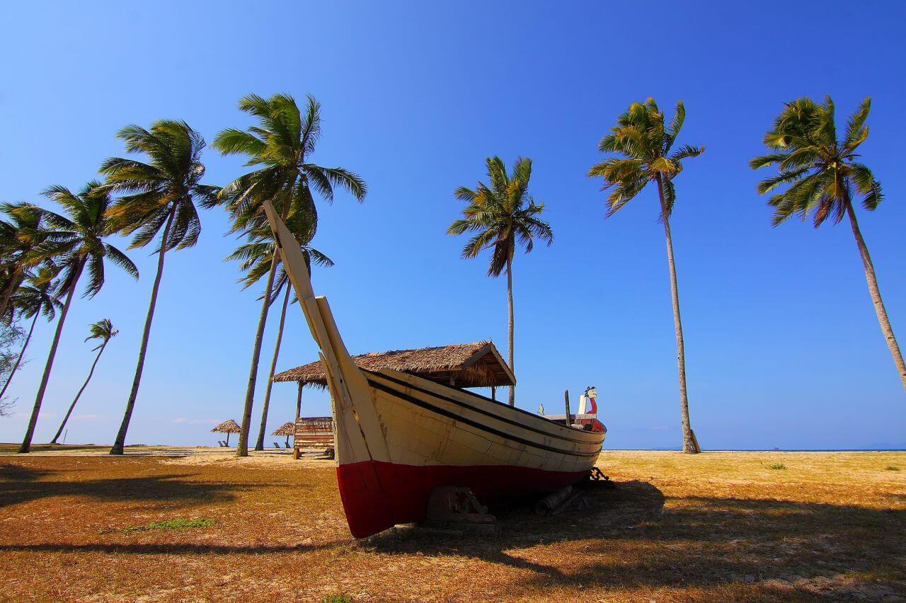 Palm Trees Blue Sky Boat Stock Free